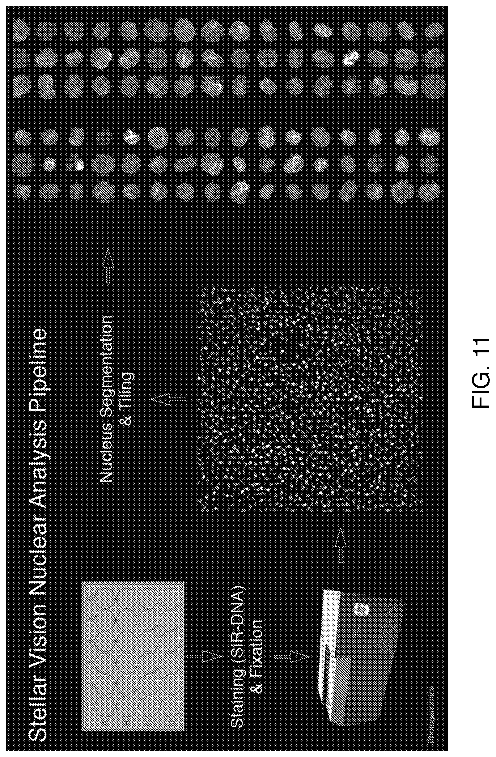 Patent US12322101 Figure 11 – Methods of analyzing microscopy images using machine learning