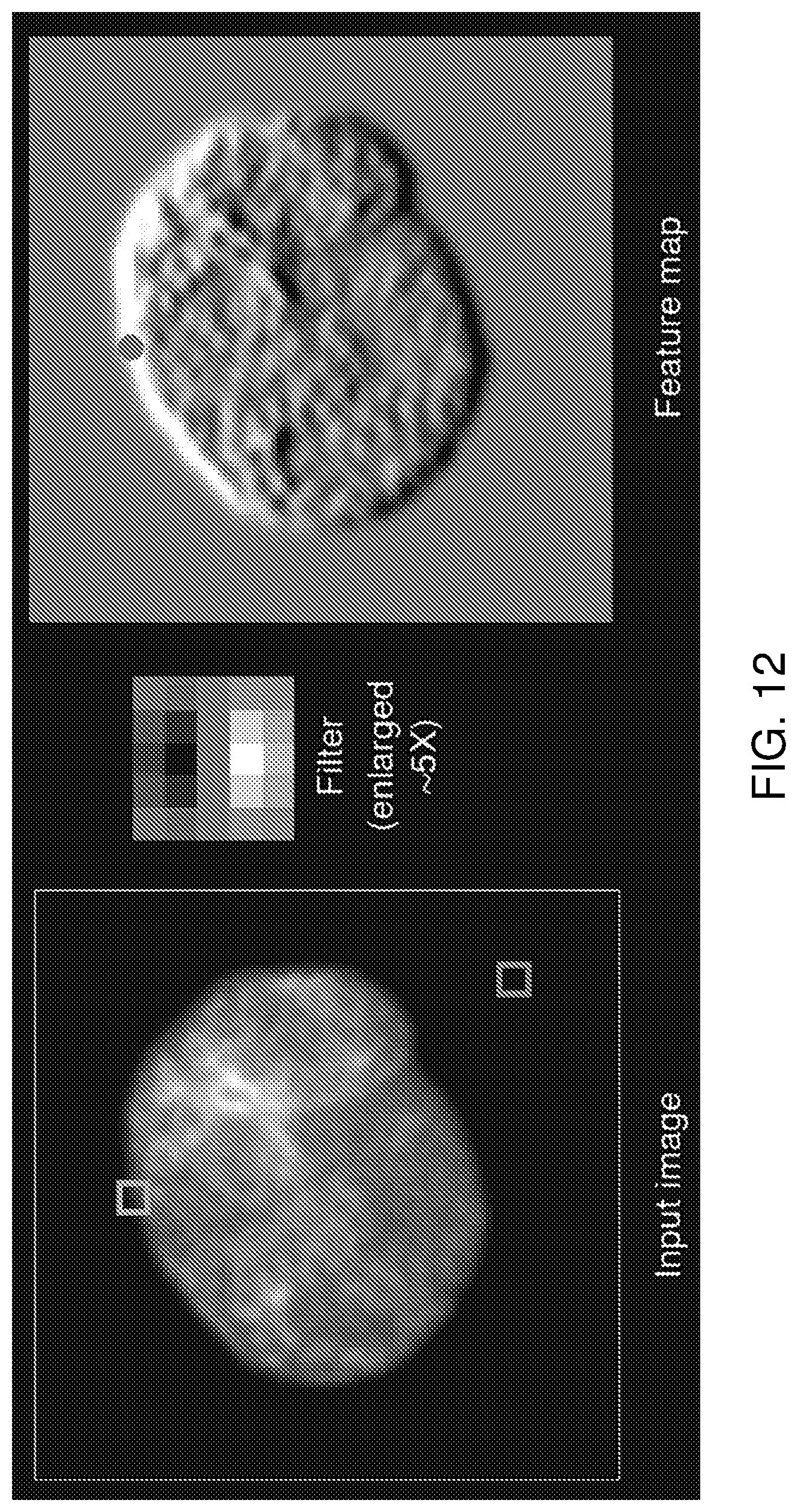 Patent US12322101 Figure 12 – Methods of analyzing microscopy images using machine learning