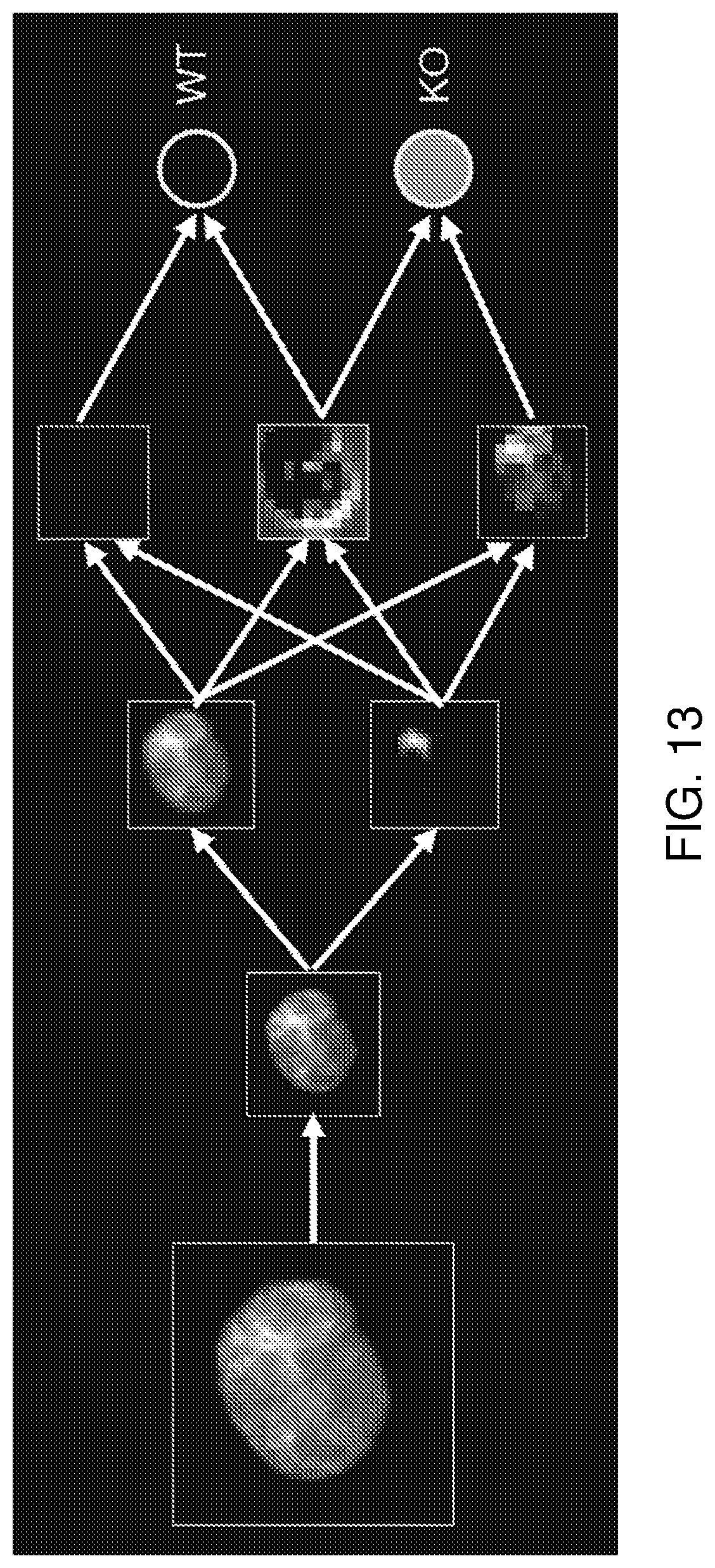 Patent US12322101 Figure 13 – Methods of analyzing microscopy images using machine learning