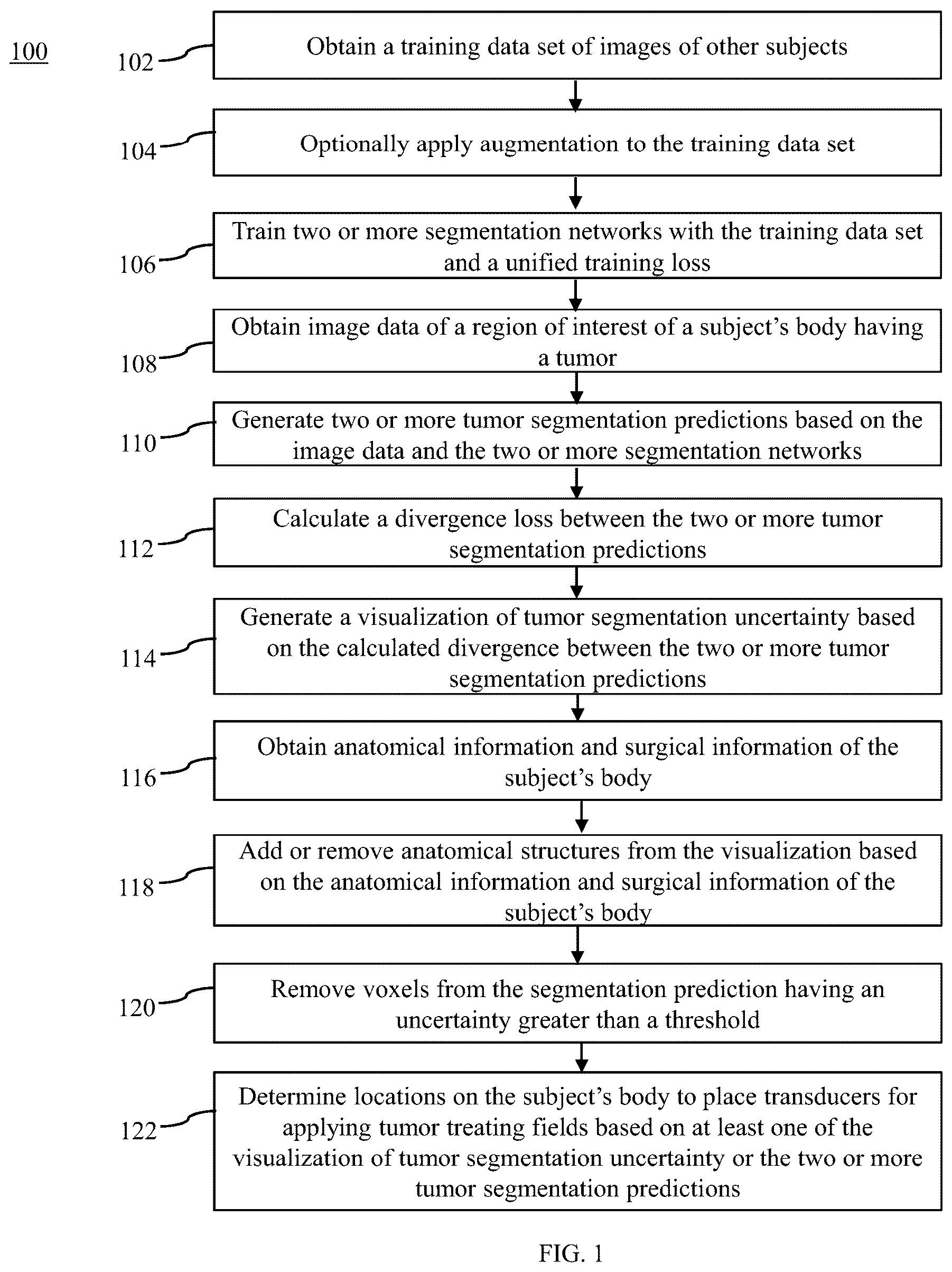 Patent US12322112 Figure 1 – Methods and apparatuses for visualization of tumor segmentation
