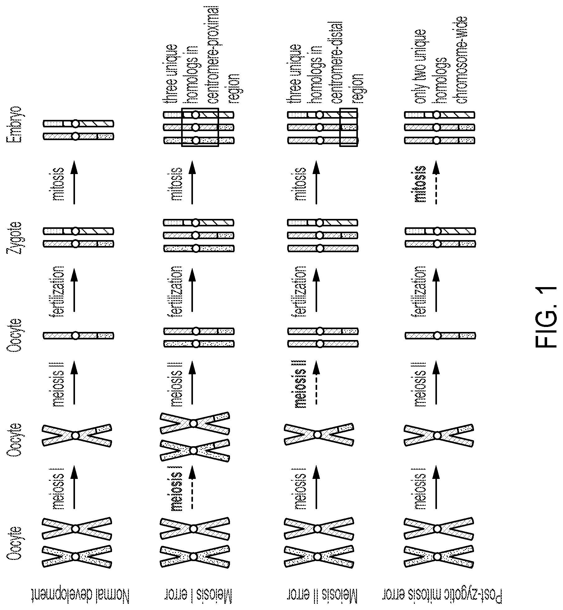 Patent US12322509 Figure 1 – Methods and related aspects for analyzing chromosome number status