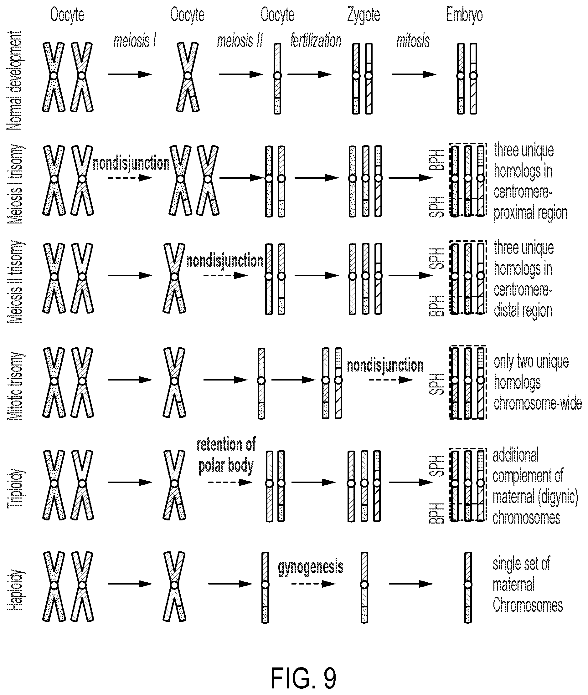 Patent US12322509 Figure 9 – Methods and related aspects for analyzing chromosome number status