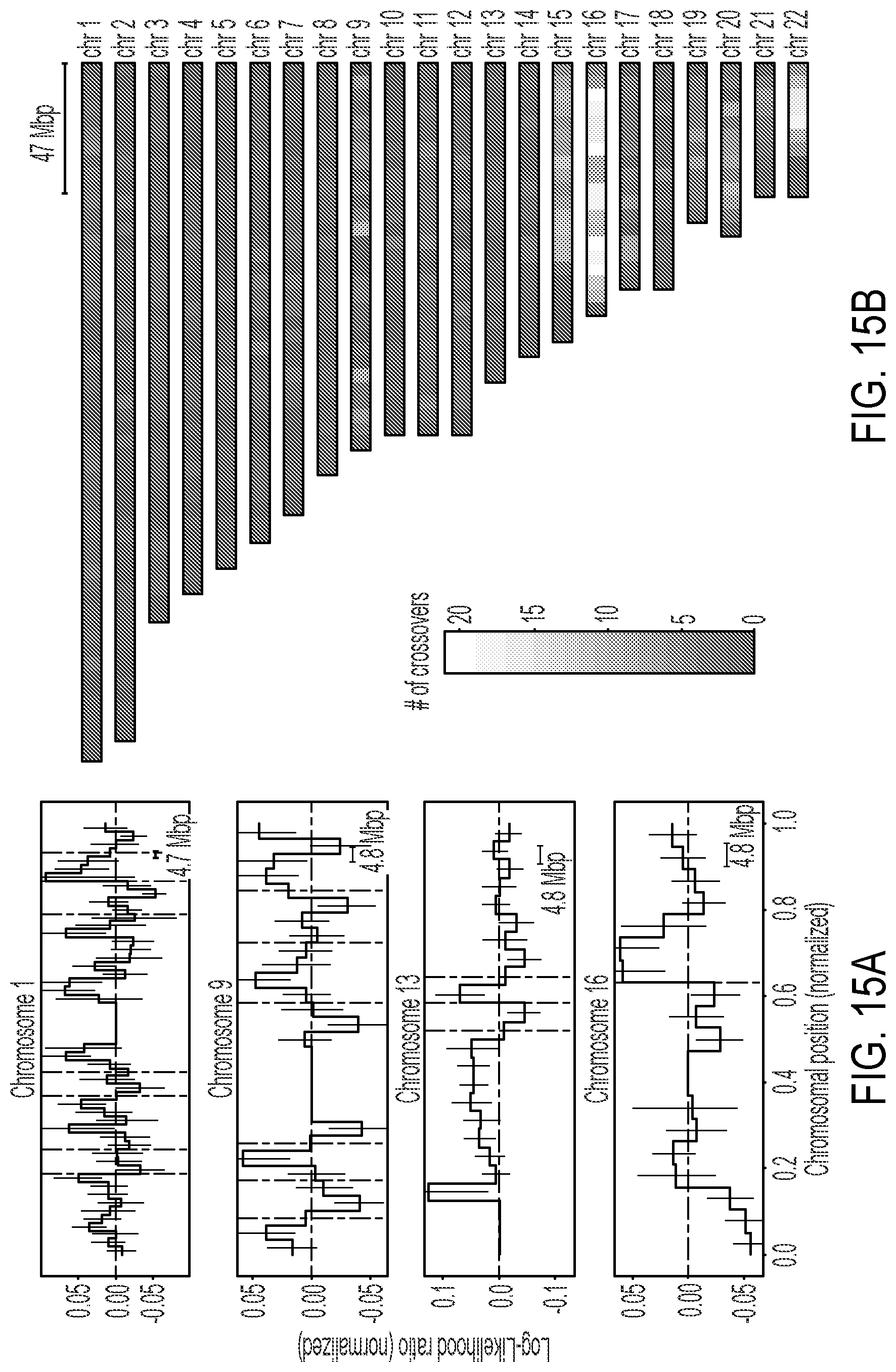 Patent US12322509 Figure 19 – Methods and related aspects for analyzing chromosome number status