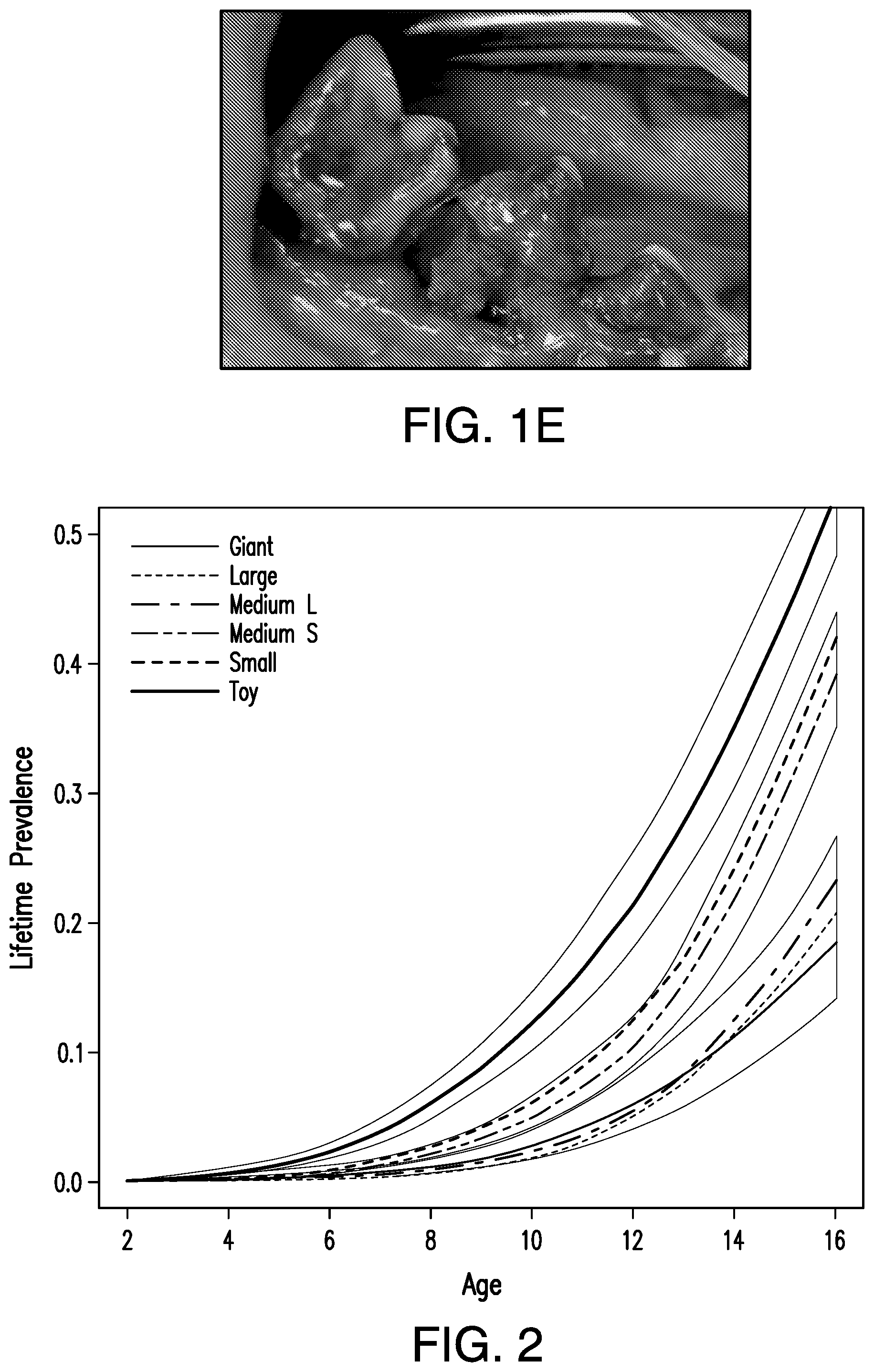 Patent US12322513 Figure 2 – Method or system for diagnosing periodontal disease