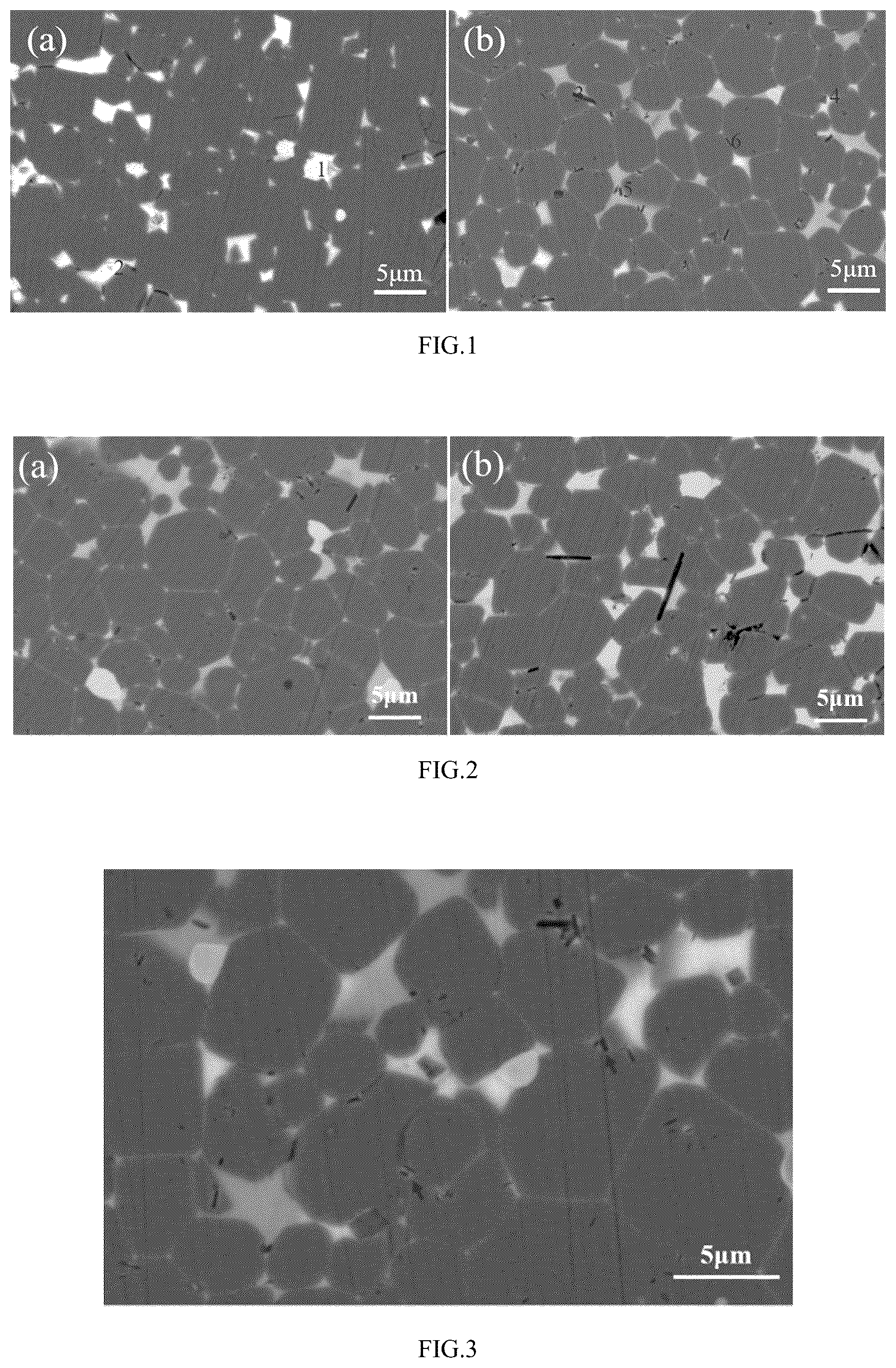 Patent US12322533 Figure 1 – High-strength R-T-B rare earth permanent magnet and preparation method thereof