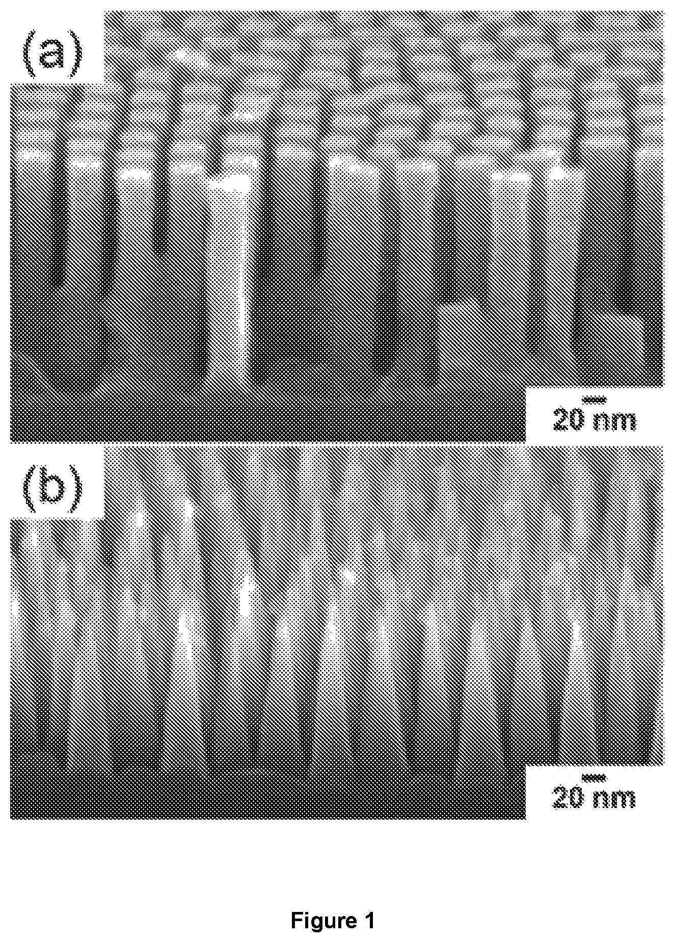 Patent US12322547 Figure 1 – Integrated polymer materials for use in electrochemical cells
