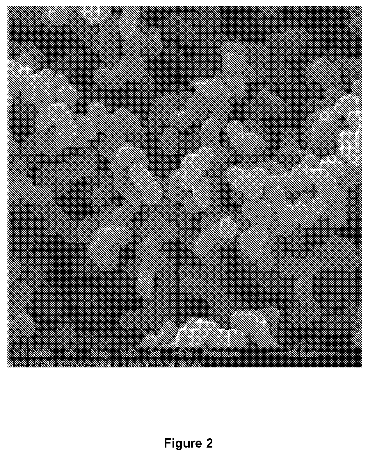Patent US12322547 Figure 2 – Integrated polymer materials for use in electrochemical cells