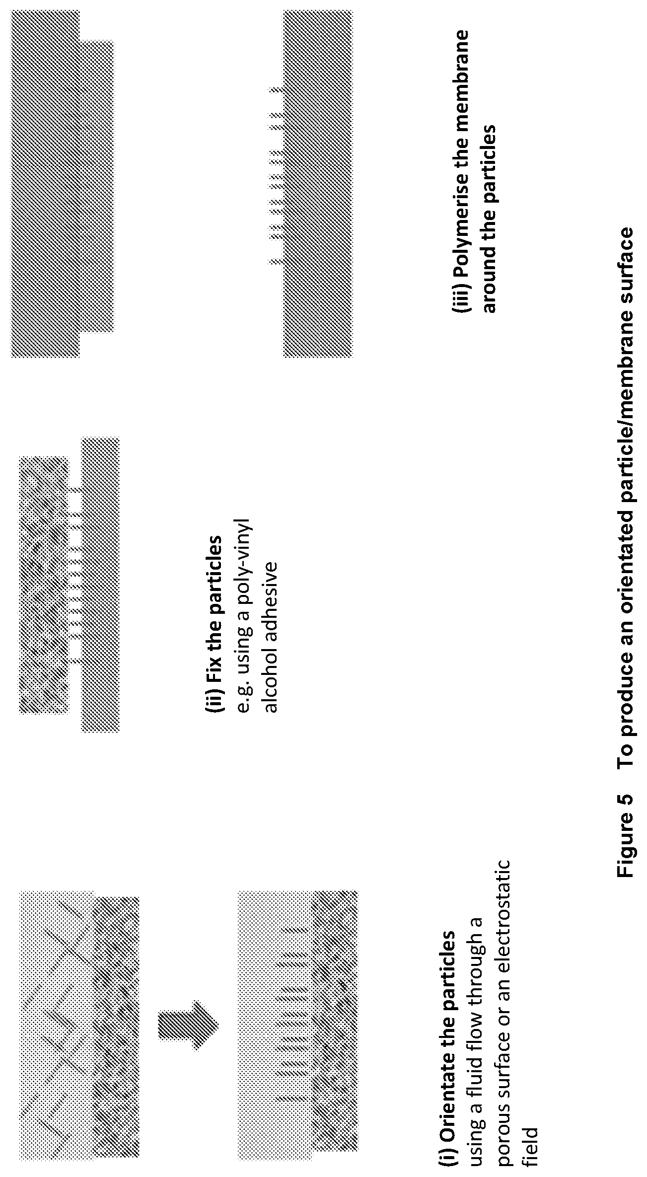Patent US12322547 Figure 5 – Integrated polymer materials for use in electrochemical cells