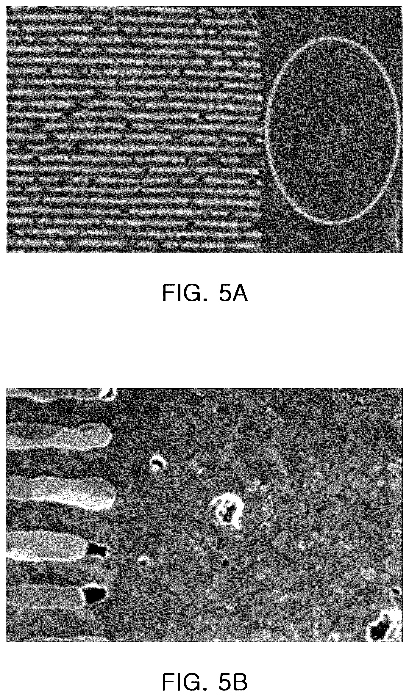 Patent US12322552 Figure 4 – Multilayer capacitor including a rare earth element and zirconium