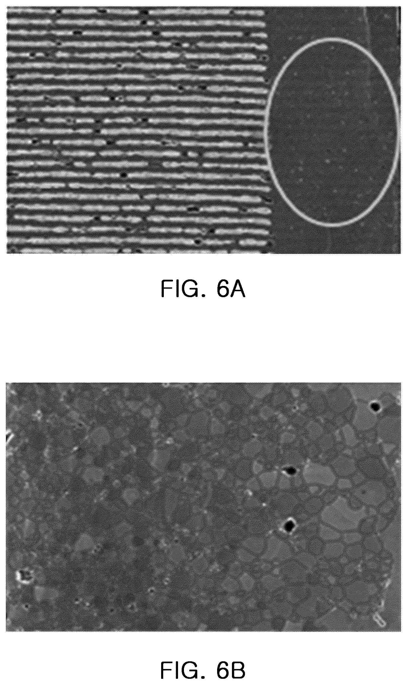 Patent US12322552 Figure 5 – Multilayer capacitor including a rare earth element and zirconium