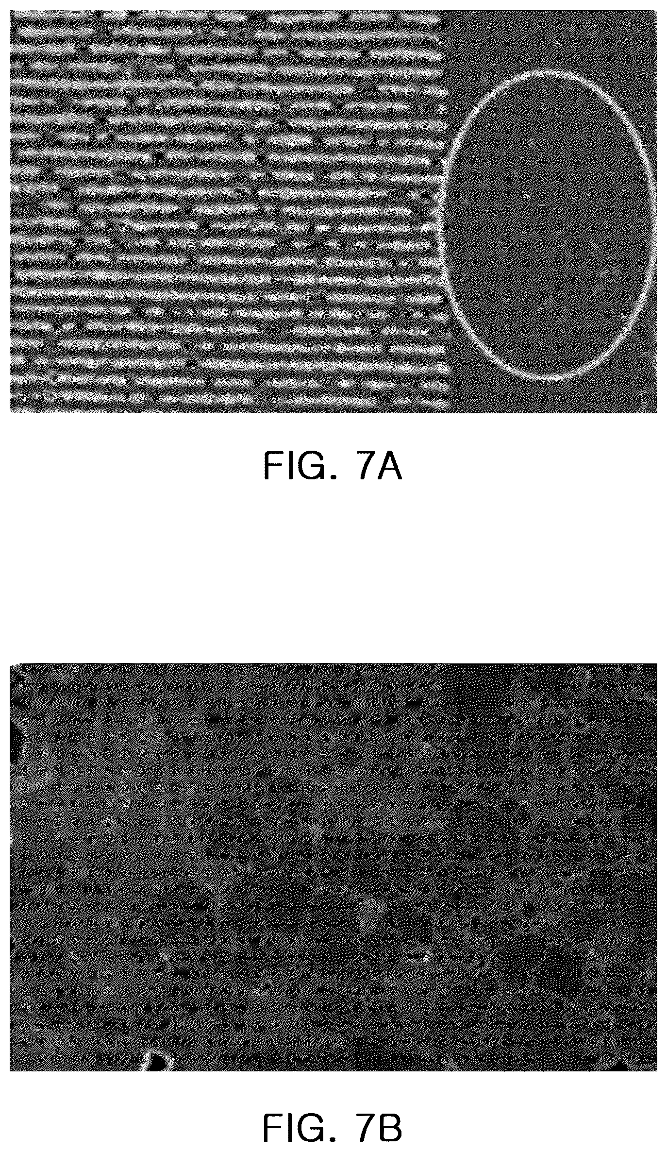 Patent US12322552 Figure 6 – Multilayer capacitor including a rare earth element and zirconium