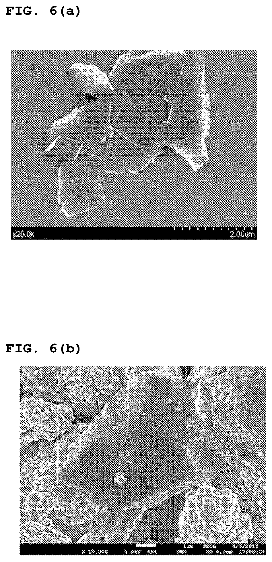 Patent US12322808 Figure 6 – Conductive agent, electrode including the conductive agent, and secondary battery including the electrode