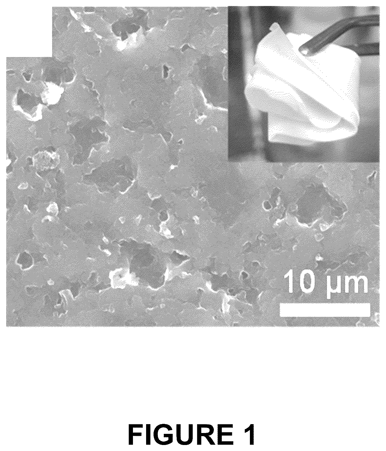 Patent US12322831 Figure 1 – Electrolyte membrane for an alkali metal battery