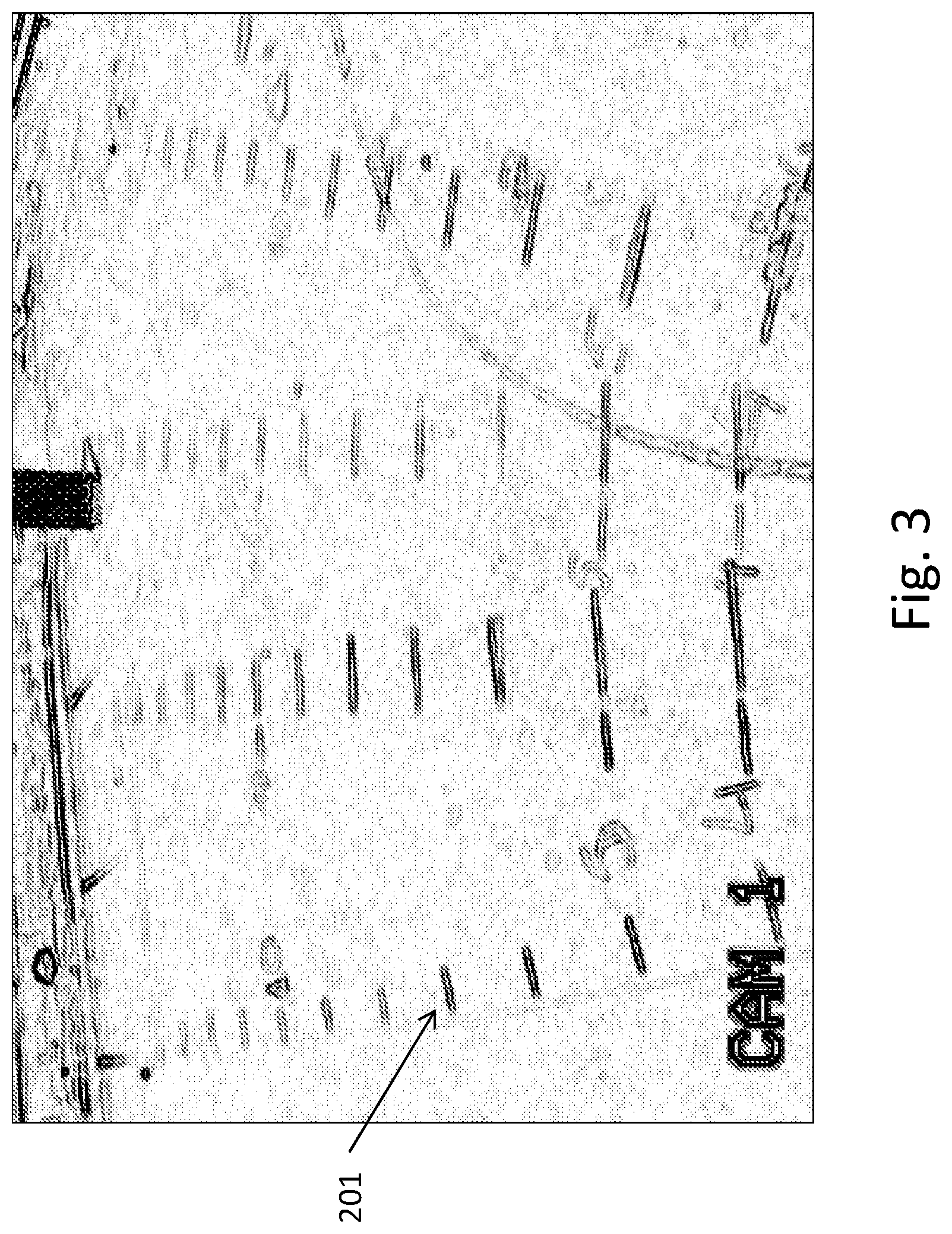 Patent US12323575 Figure 4 – Dimensional calibration of the field-of-view of a single camera