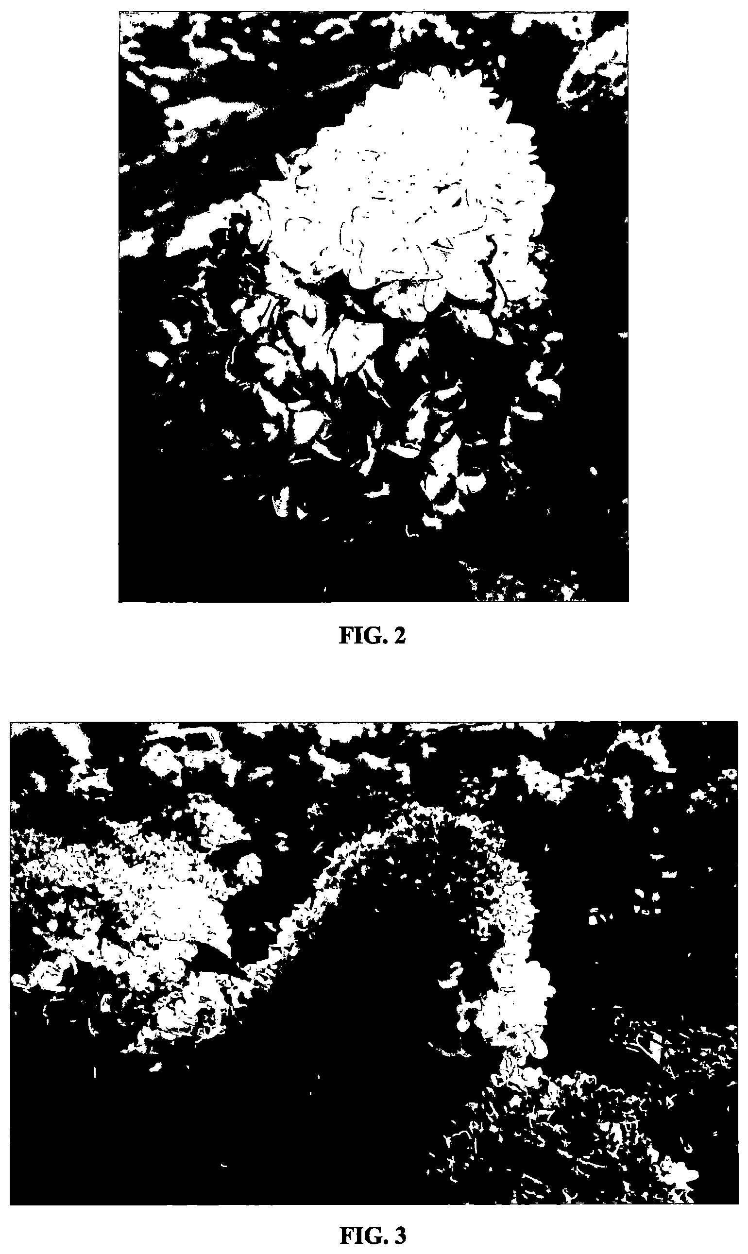 Patent US12323864 Figure 2 – Cell reselection method and apparatus, and communication device