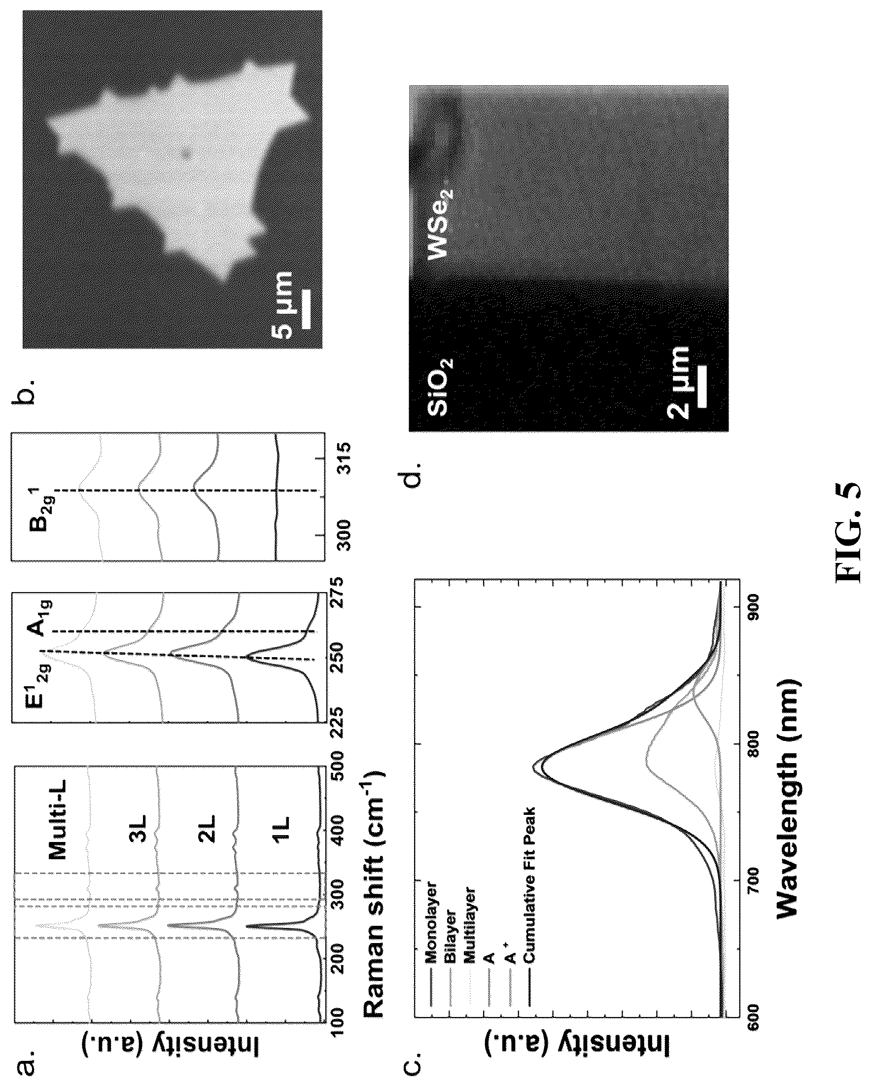 Patent US12324253 Figure 5 – Light-gated transistor including large-area transition metal dichalcogenide as light sensing layer and method of manufacturing the same
