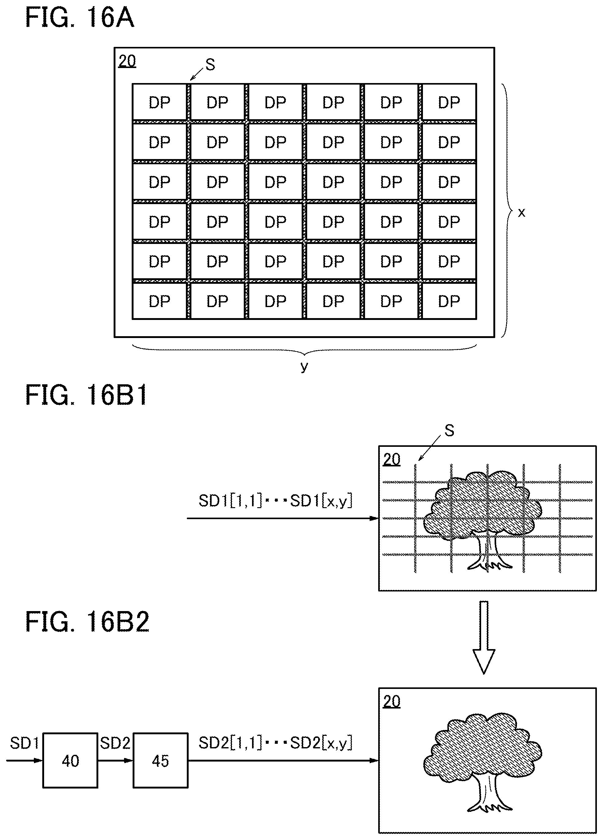 Patent US12324307 Figure 16 – Display panel including first and second common electrodes