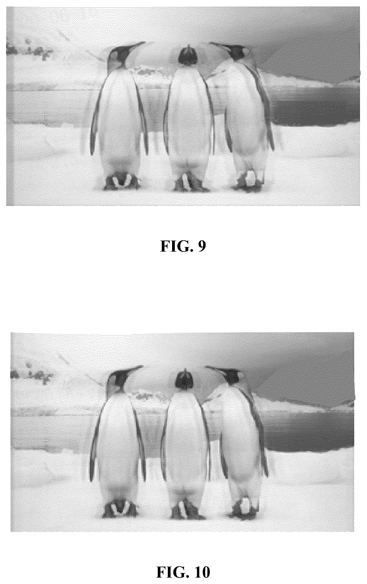 Patent US12324337 Figure 6 – Display panel and display device