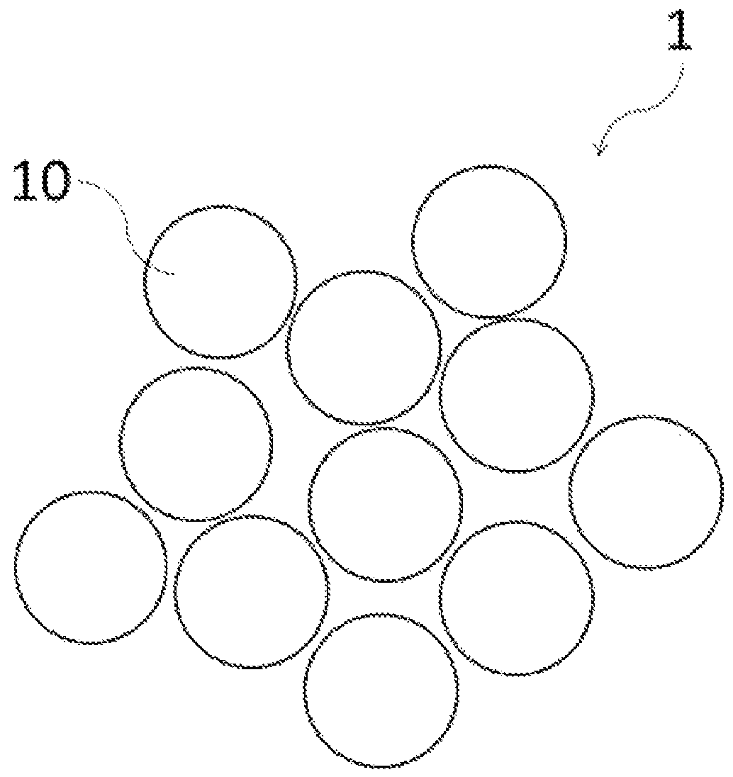 Patent US12324408 Figure 1 – Excrement treatment material and method for manufacturing the same