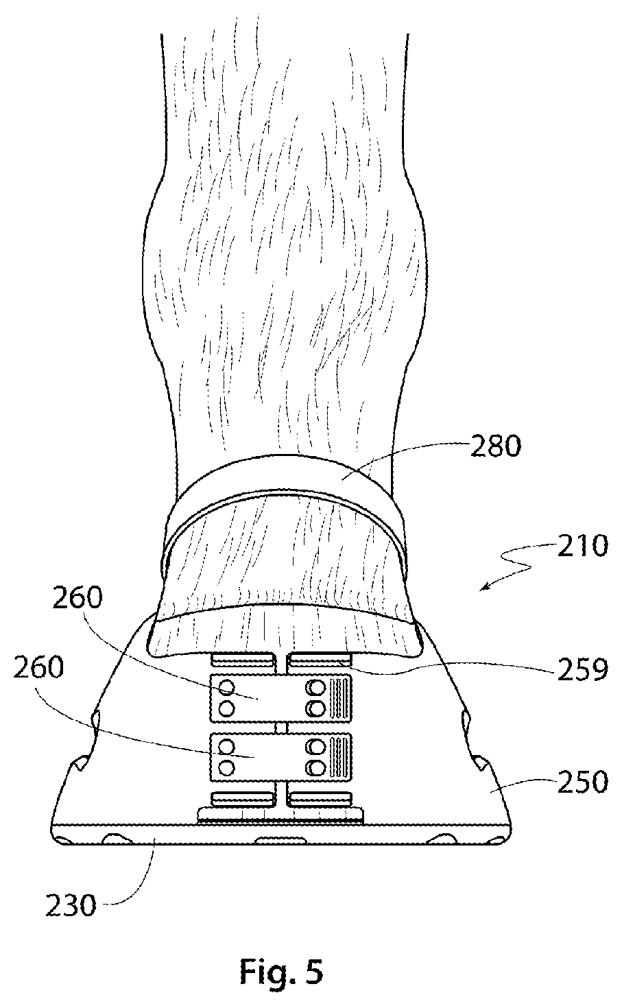 Patent US12324426 Figure 5 – Equine hoof boot