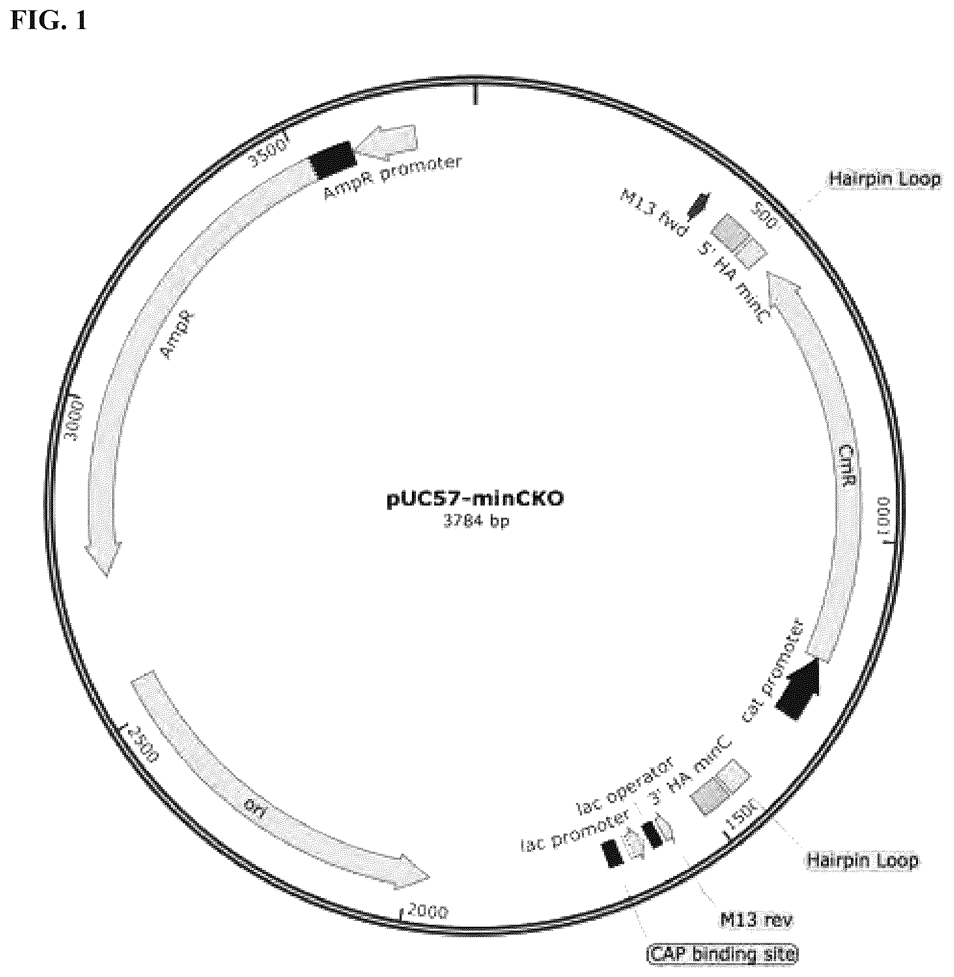 Patent US12324431 Figure 1 – Compositions and methods for scalable production and delivery of biologicals