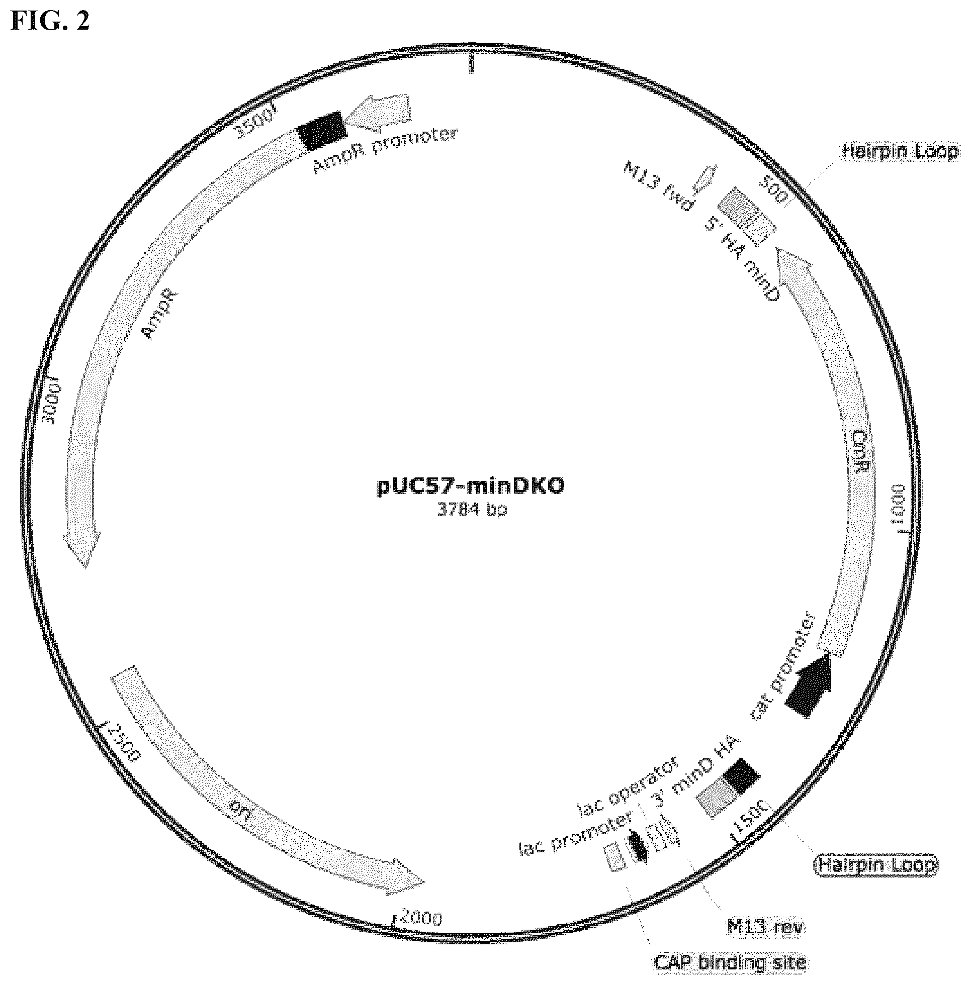 Patent US12324431 Figure 2 – Compositions and methods for scalable production and delivery of biologicals
