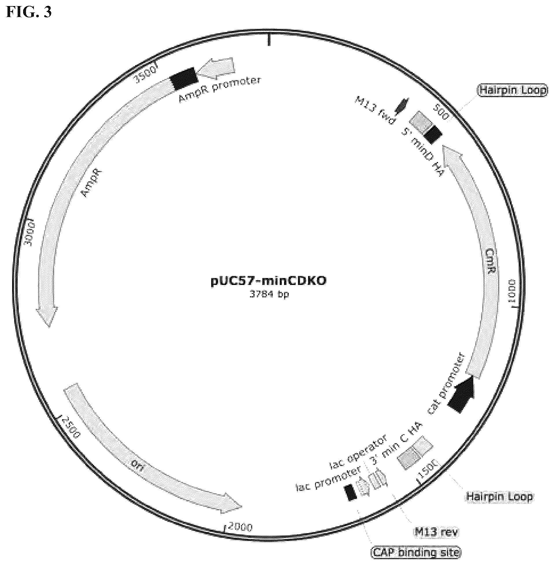 Patent US12324431 Figure 3 – Compositions and methods for scalable production and delivery of biologicals