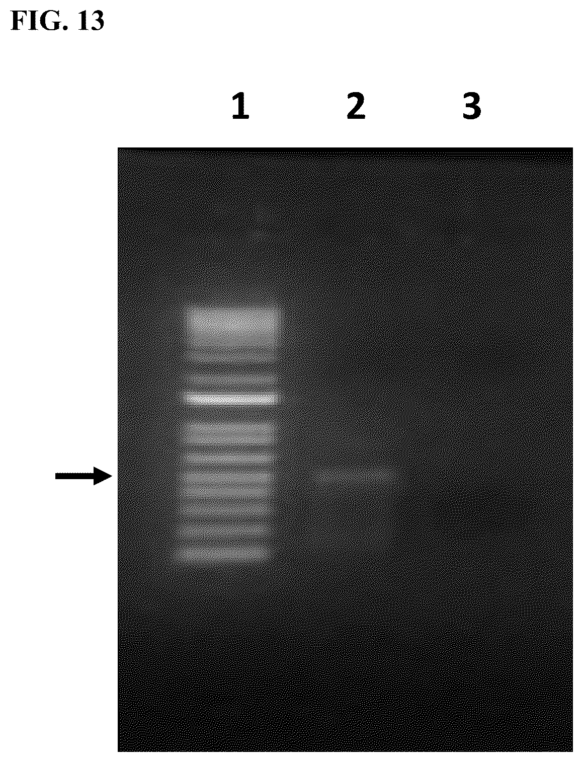 Patent US12324431 Figure 18 – Compositions and methods for scalable production and delivery of biologicals
