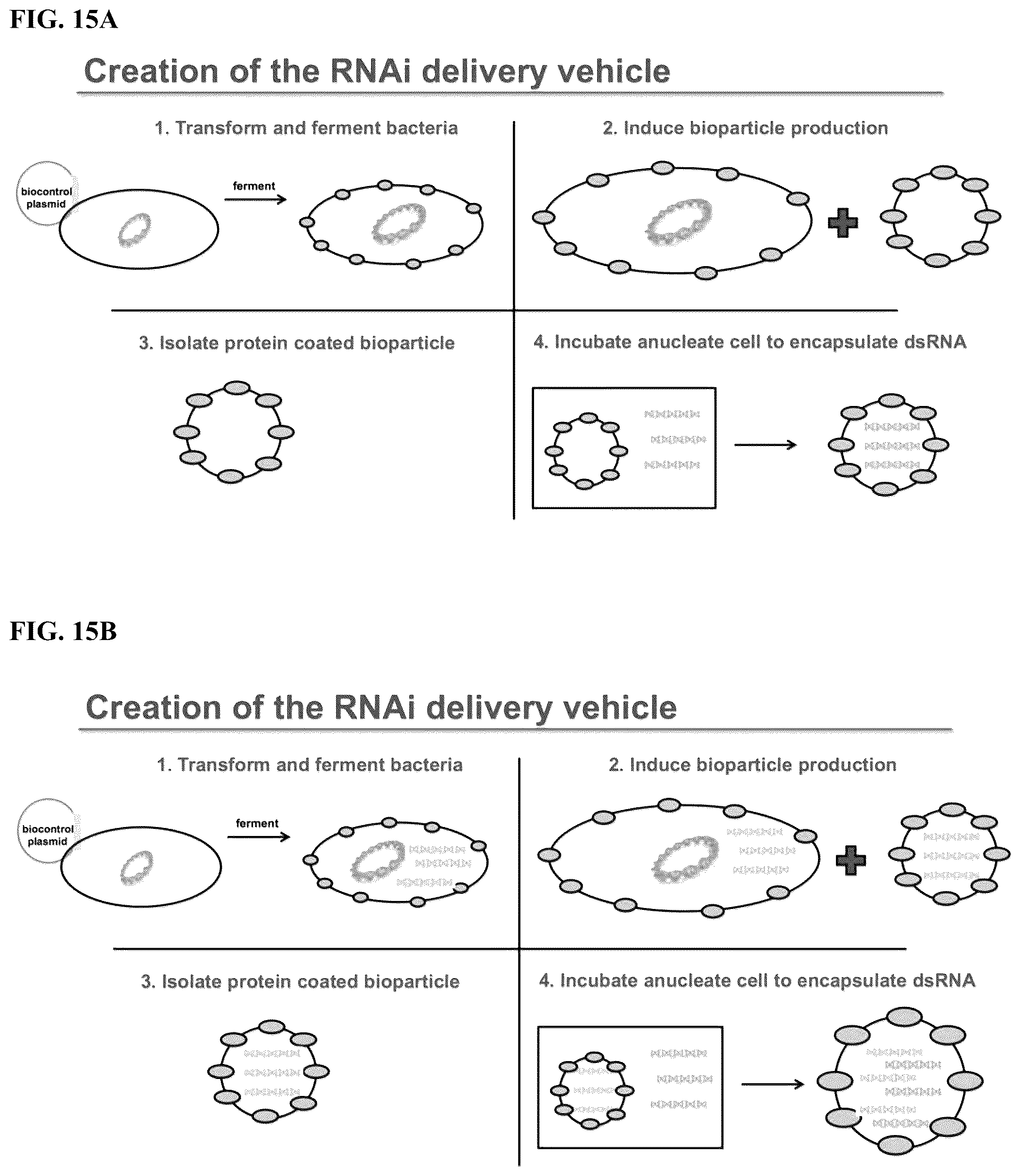 Patent US12324431 Figure 20 – Compositions and methods for scalable production and delivery of biologicals