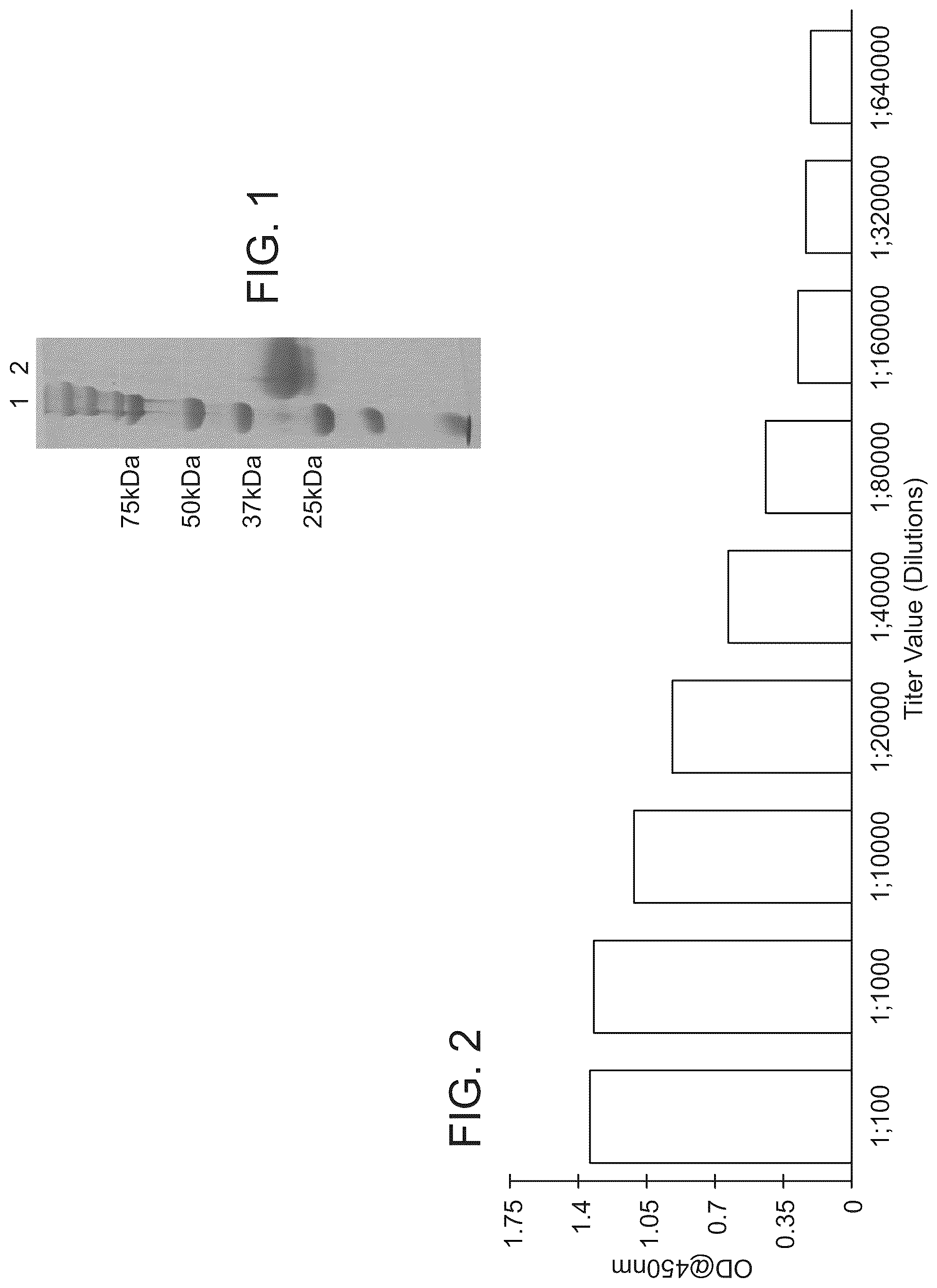 Patent US12324441 Figure 1 – Hyperimmunized egg product for treatment or prevention of coronavirus infection