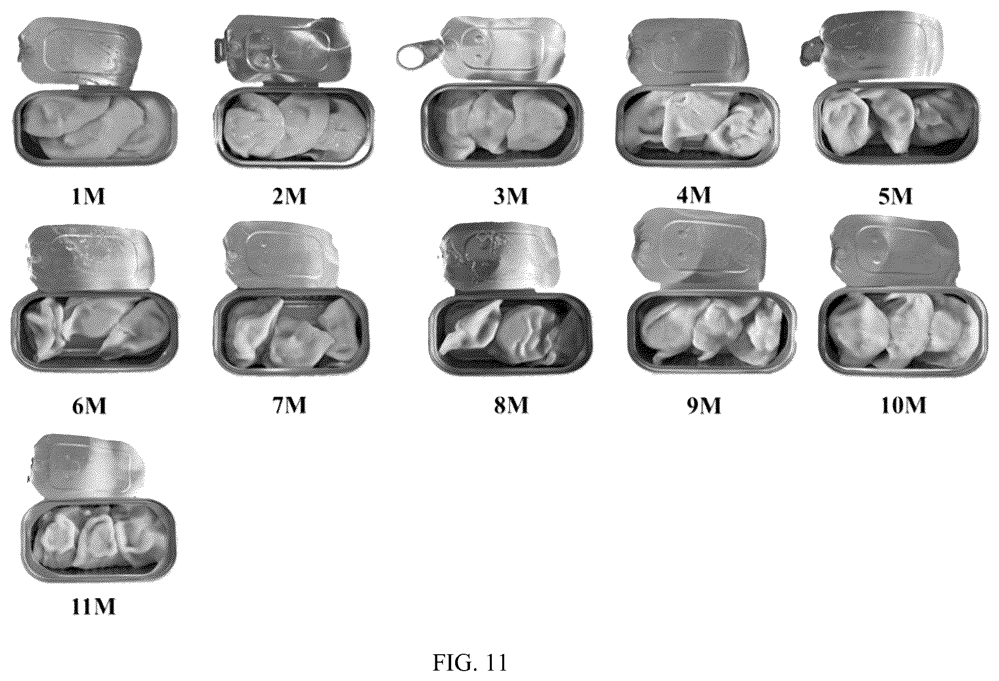Patent US12324449 Figure 9 – Preparation method for convenient and instant dumpling with long normal-temperature shelf life