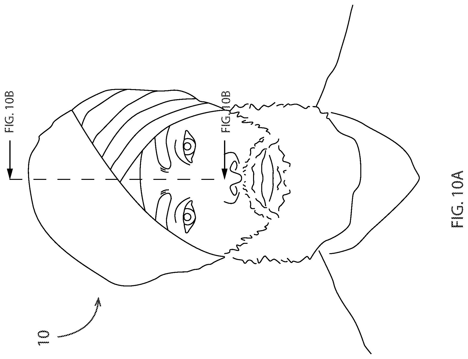 Patent US12324474 Figure 19 – Protective garment assembly
