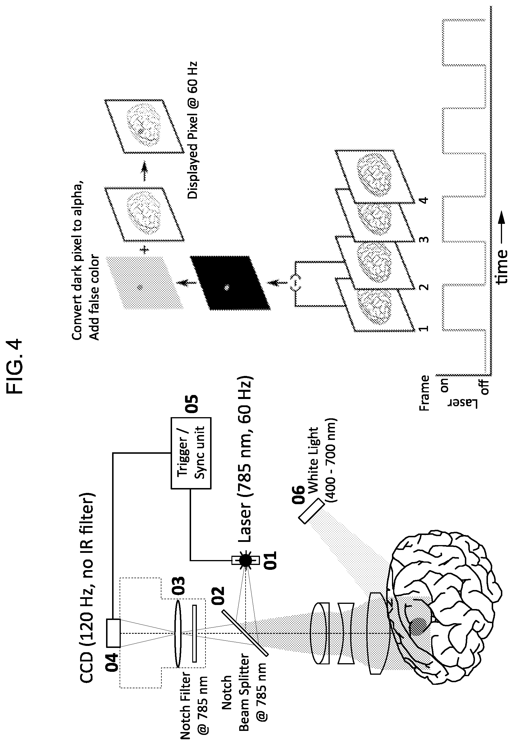Patent US12324559 Figure 4 – Systems and methods for recording simultaneously visible light image and infrared light image from fluorophores