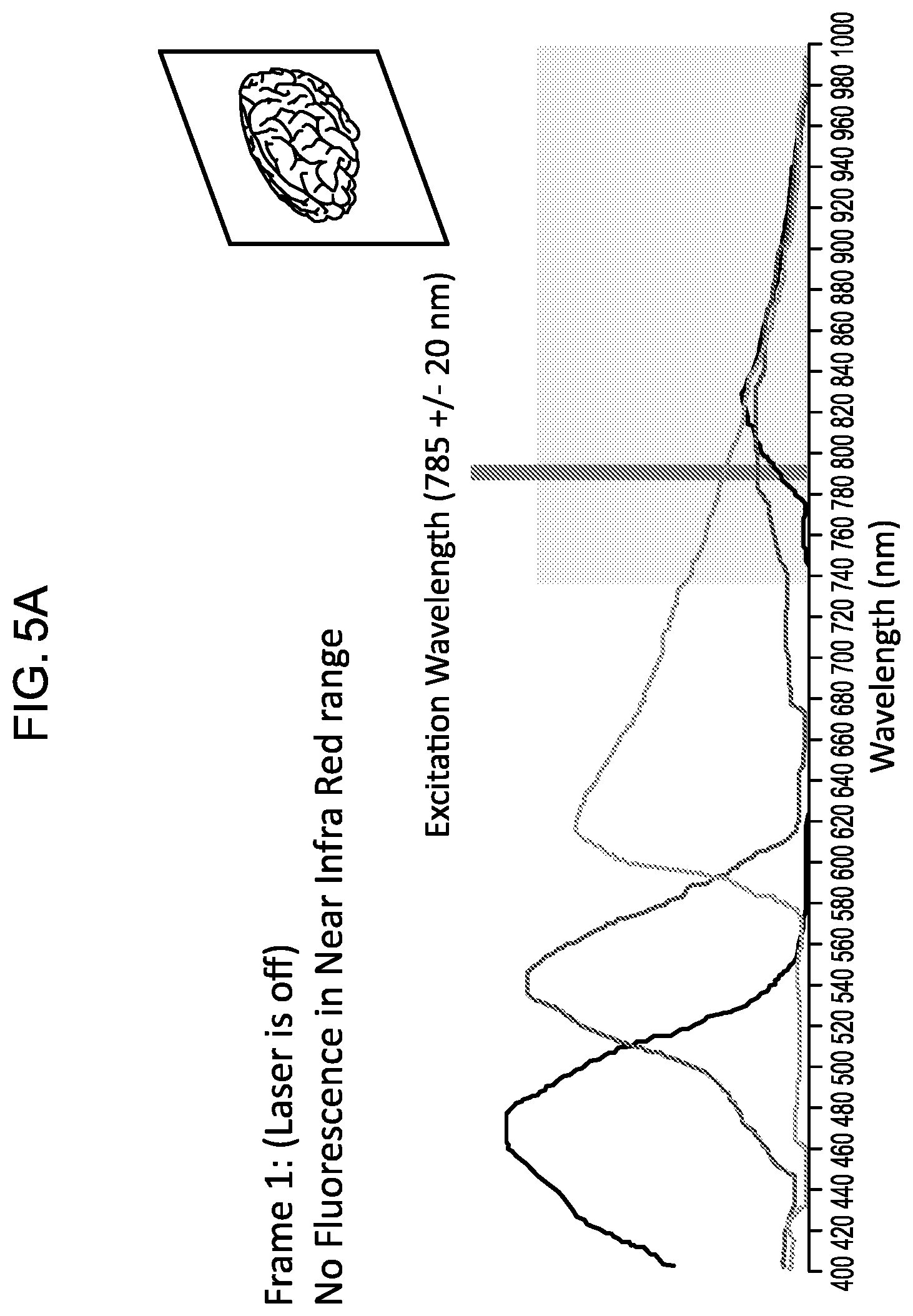 Patent US12324559 Figure 5 – Systems and methods for recording simultaneously visible light image and infrared light image from fluorophores