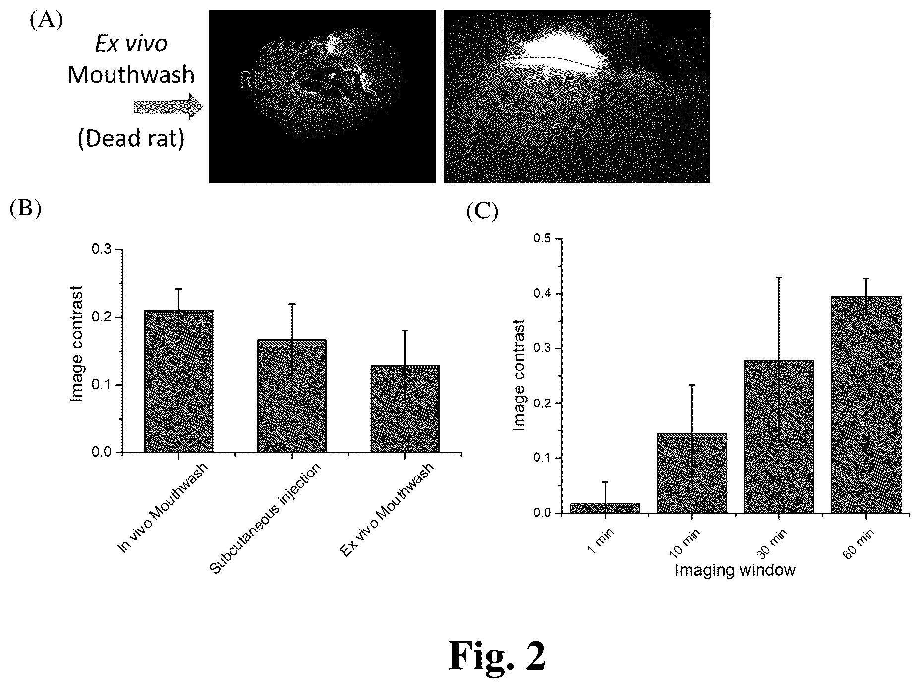 Patent US12324568 Figure 2 – Mouthwash to deliver dyes for dental imaging