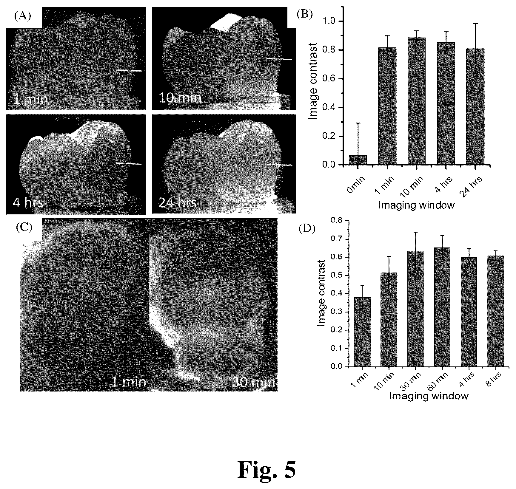 Patent US12324568 Figure 5 – Mouthwash to deliver dyes for dental imaging
