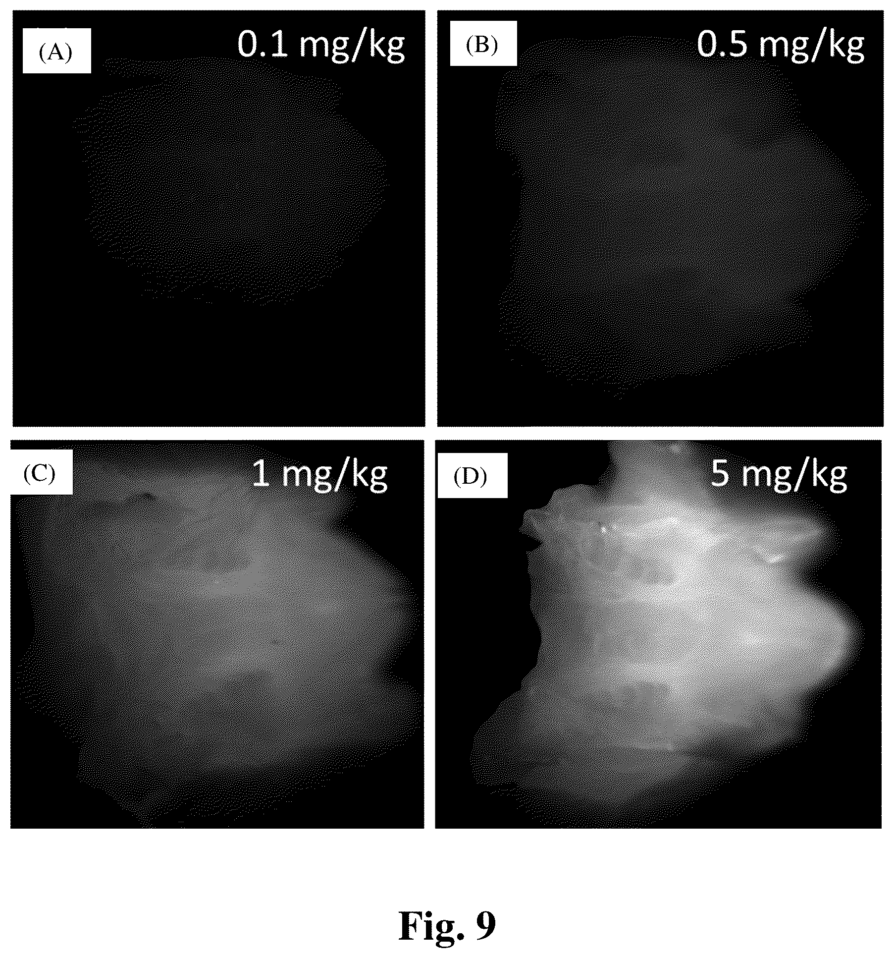 Patent US12324568 Figure 9 – Mouthwash to deliver dyes for dental imaging