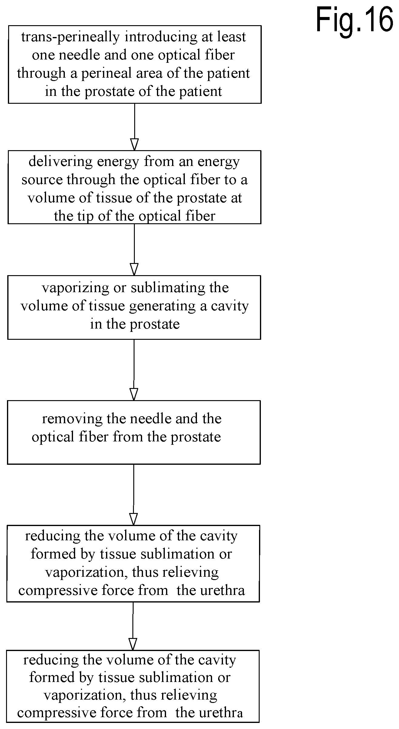Patent US12324623 Figure 11 – Laser treatment of the prostate