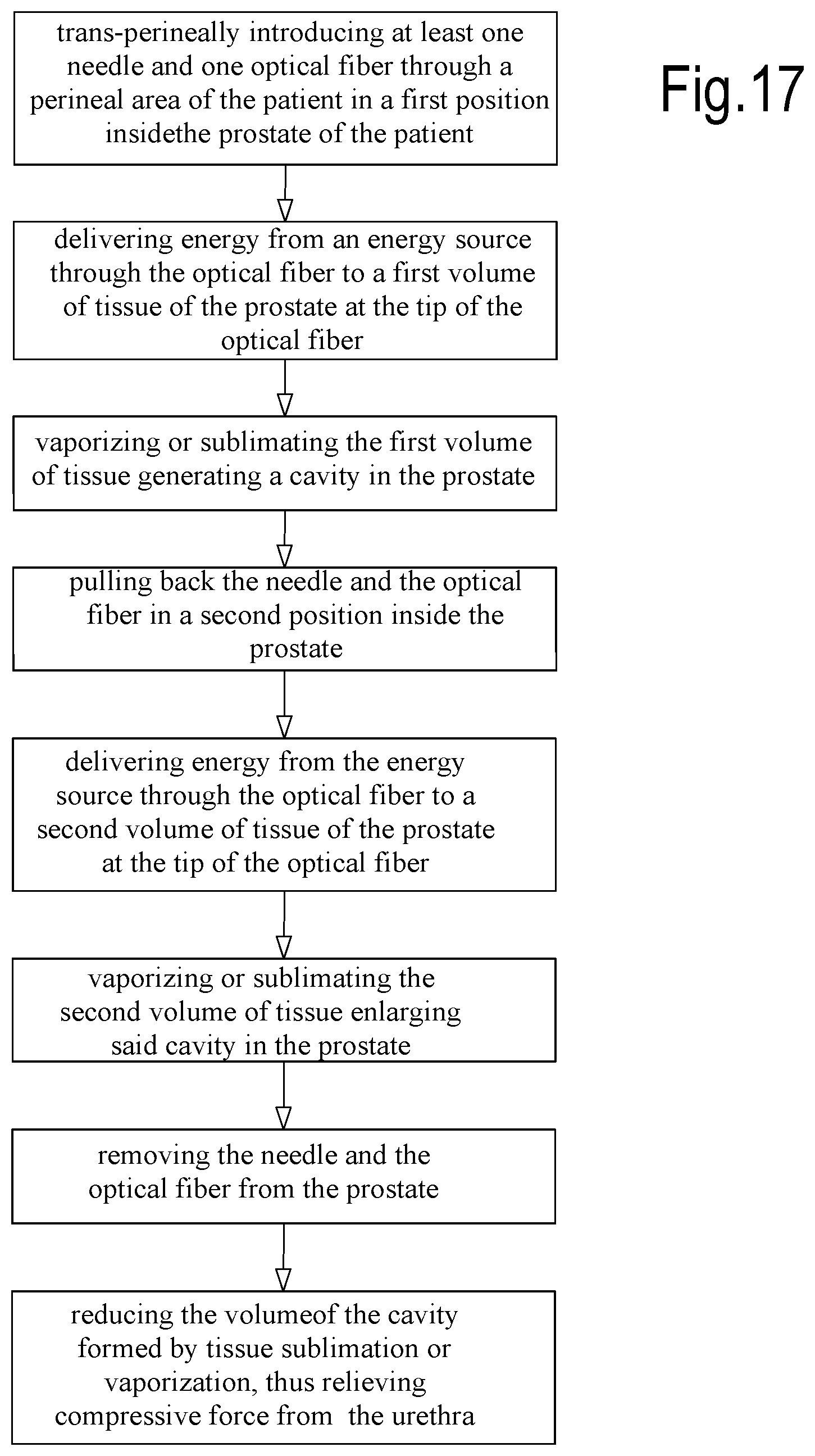 Patent US12324623 Figure 12 – Laser treatment of the prostate