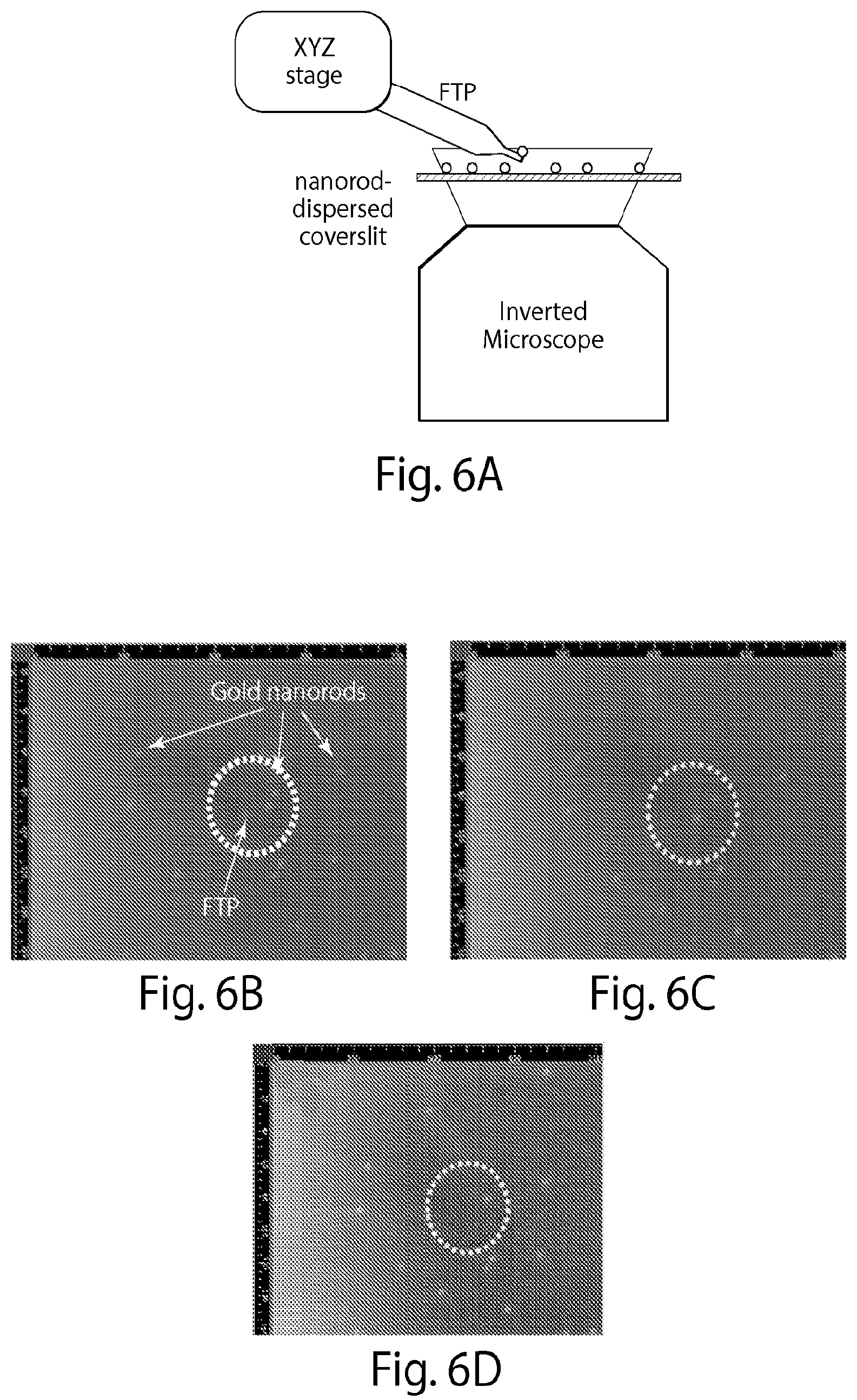 Patent US12324663 Figure 10 – Systems and methods for making and using sensors, probes, and other devices