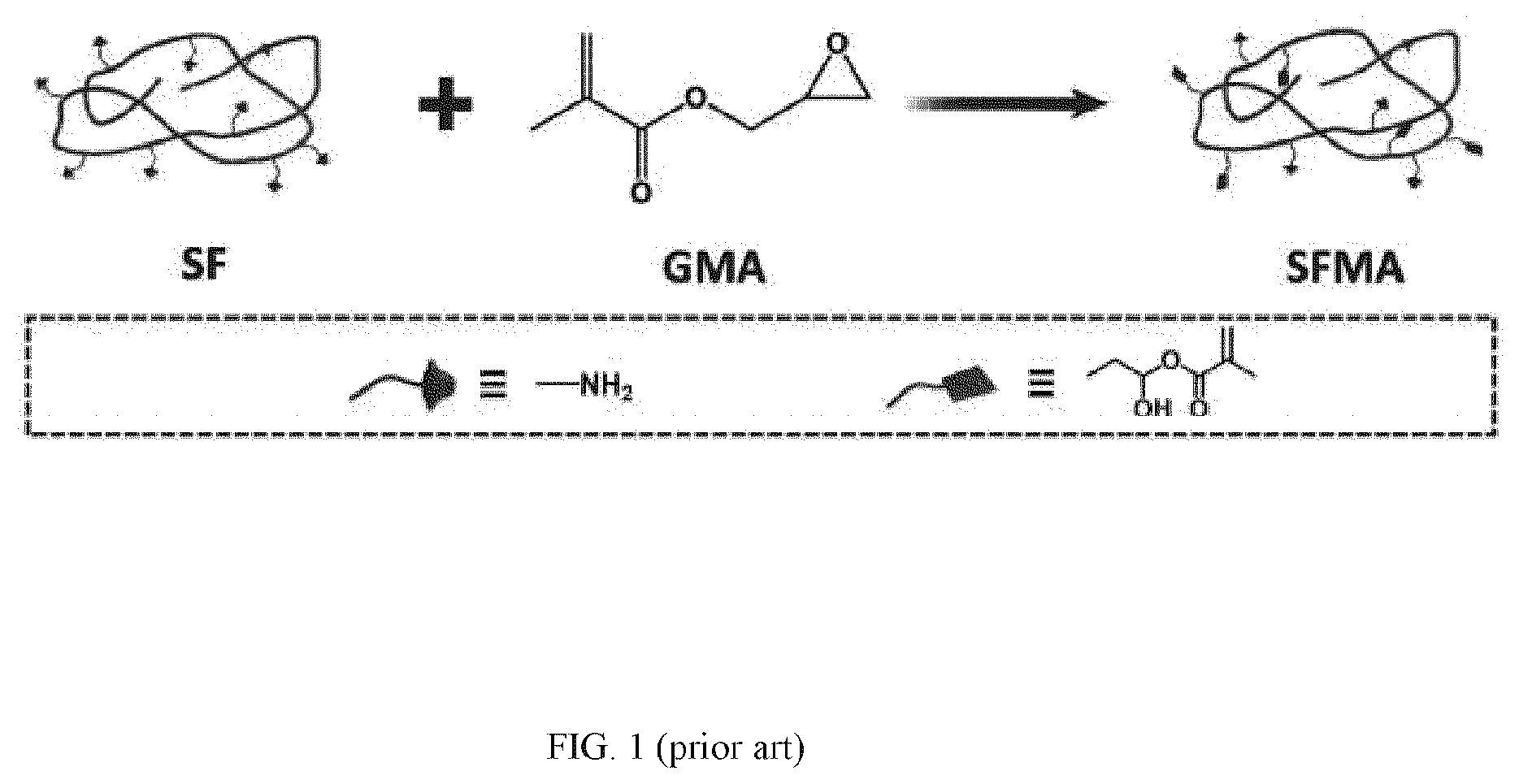 Patent US12324769 Figure 1 – Double-network versatile hydrogel with antibacterial and drug sequential release capabilities