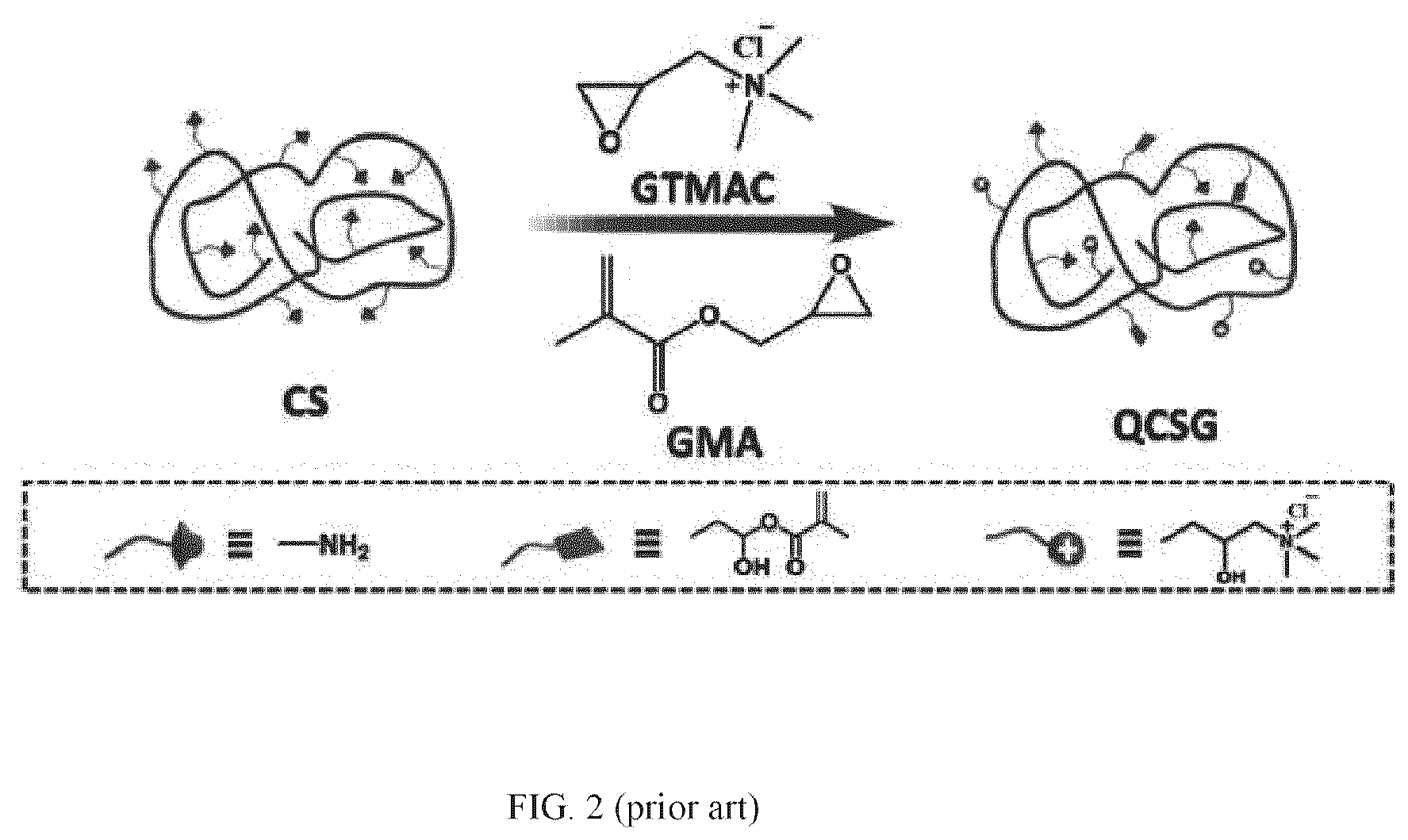 Patent US12324769 Figure 2 – Double-network versatile hydrogel with antibacterial and drug sequential release capabilities
