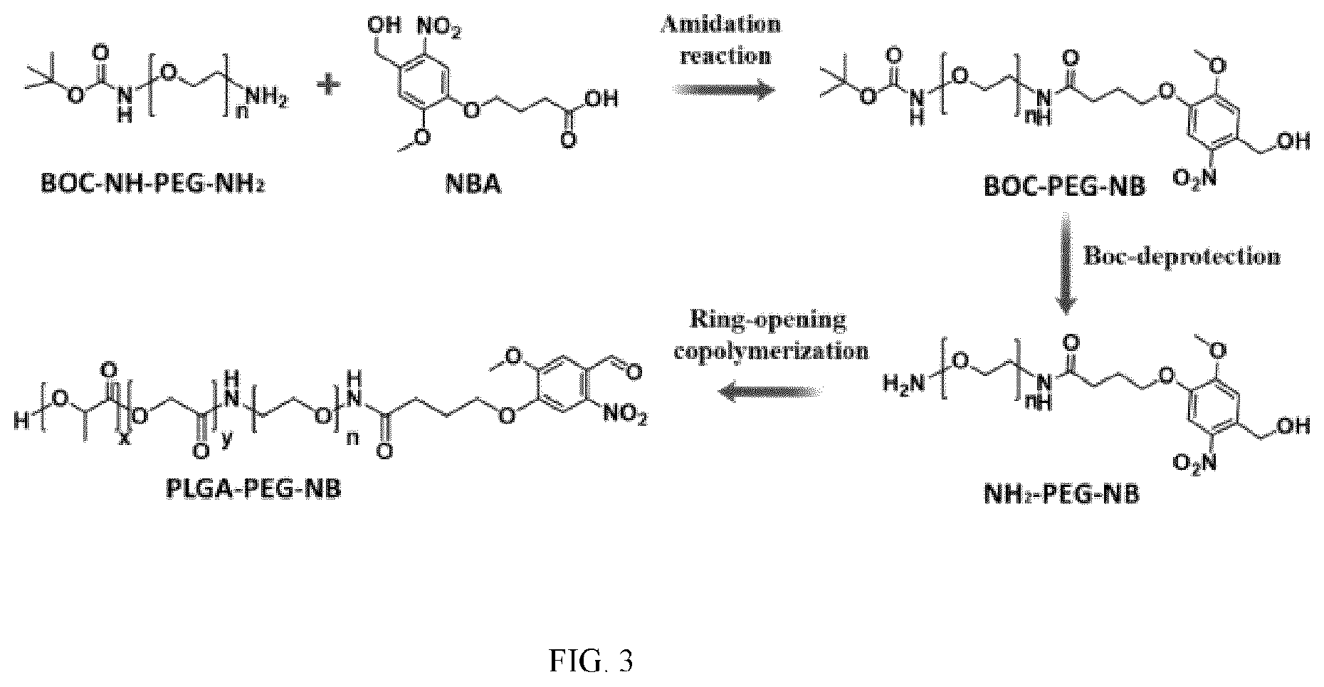 Patent US12324769 Figure 3 – Double-network versatile hydrogel with antibacterial and drug sequential release capabilities