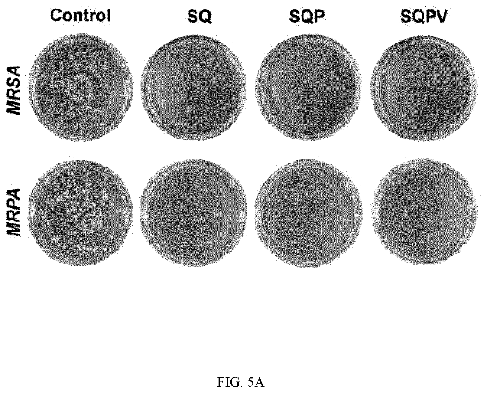 Patent US12324769 Figure 12 – Double-network versatile hydrogel with antibacterial and drug sequential release capabilities