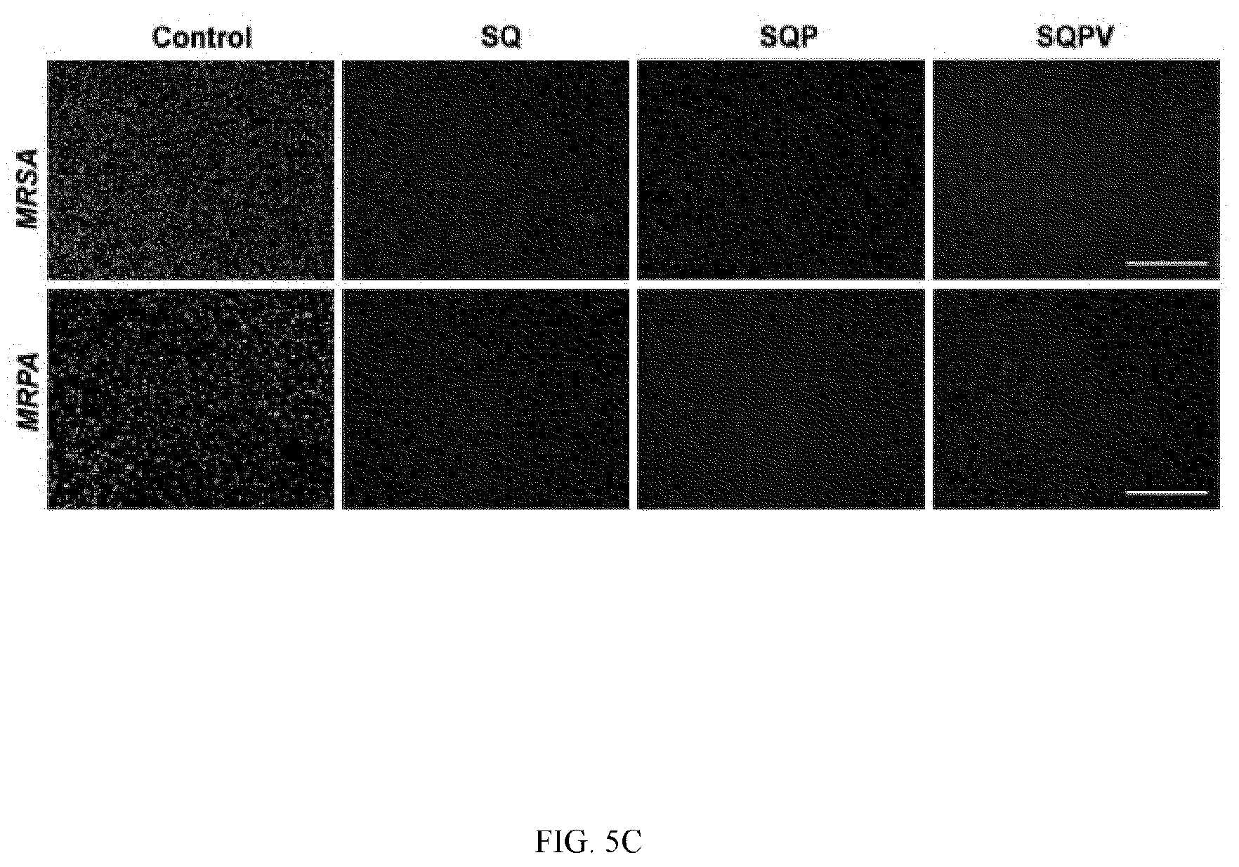 Patent US12324769 Figure 14 – Double-network versatile hydrogel with antibacterial and drug sequential release capabilities