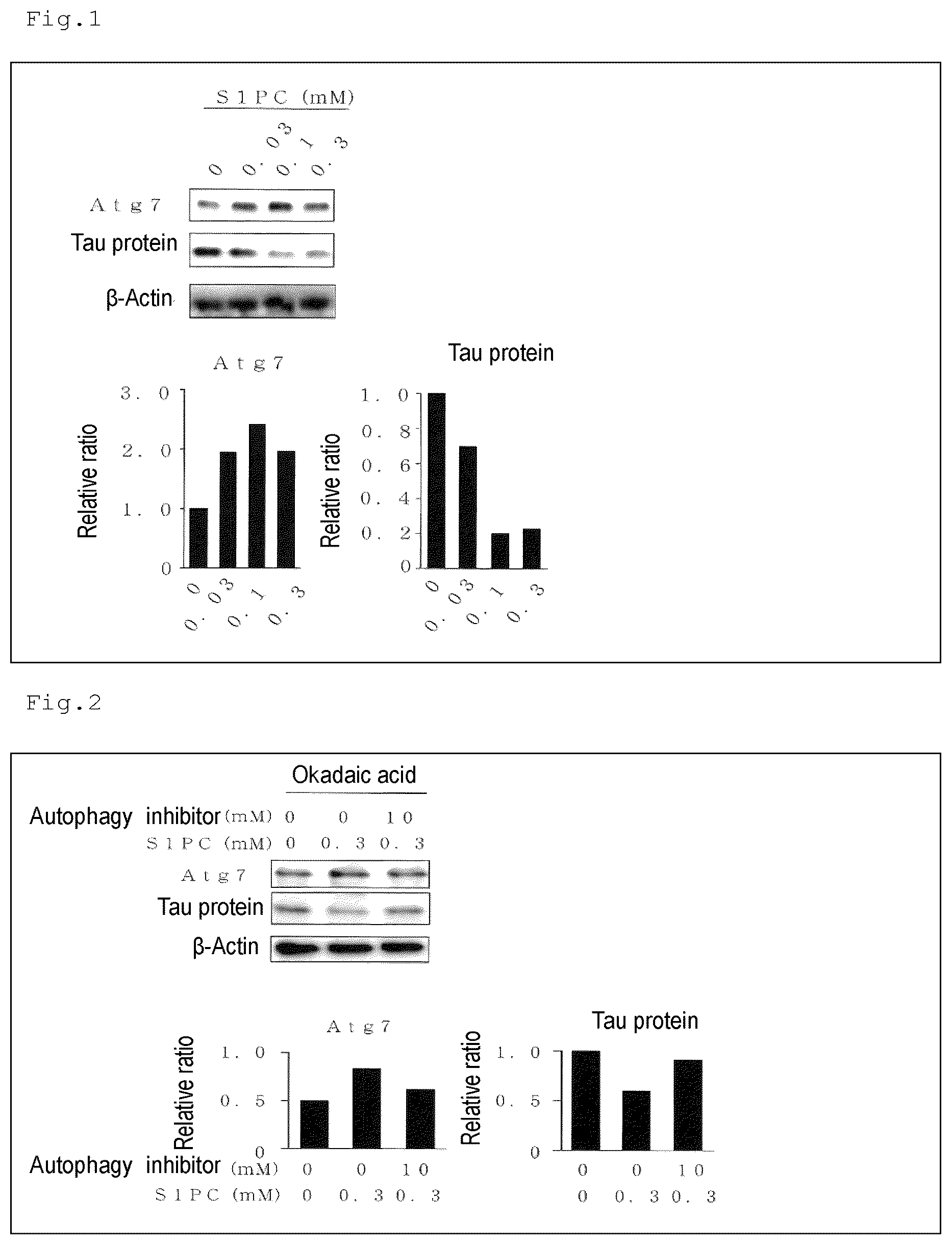 Patent US12324795 — Autophagy activating agent — Figure 1