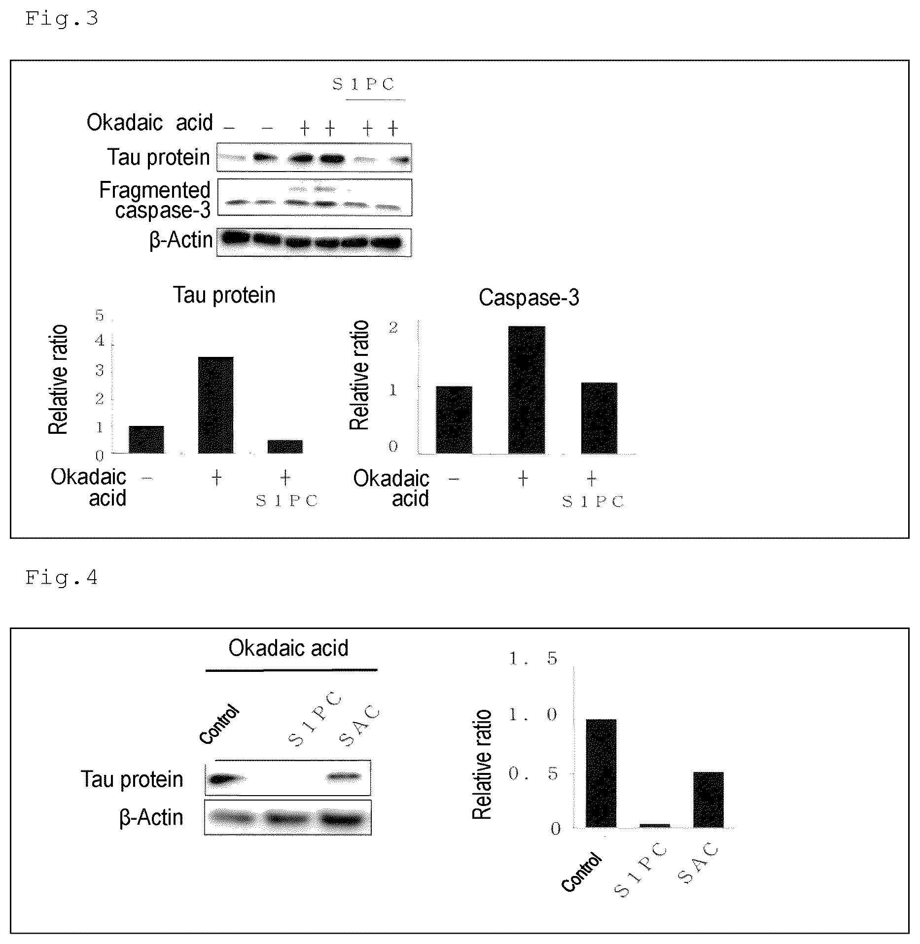 Patent US12324795 Figure 2 – Autophagy activating agent