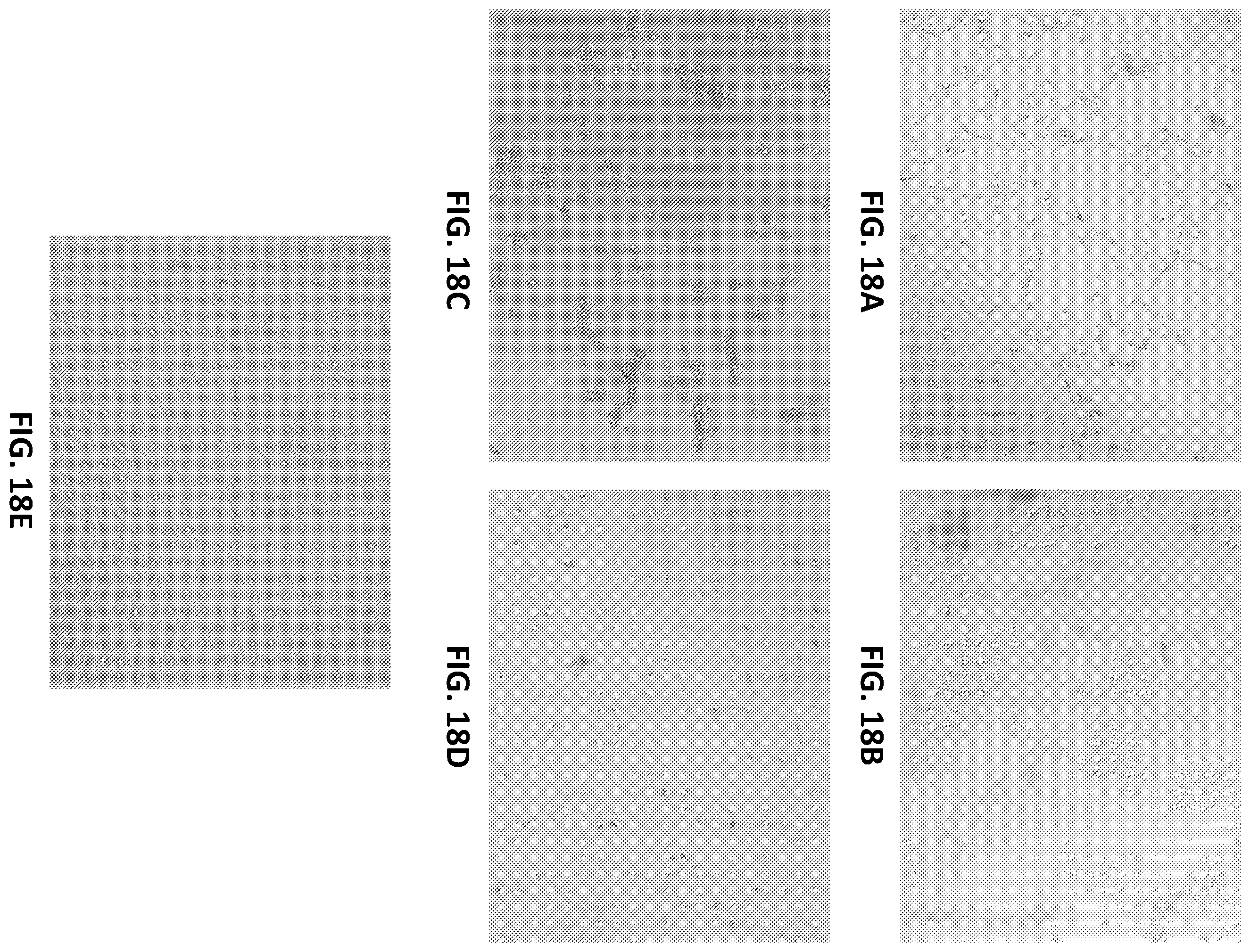 Patent US12324797 Figure 8 – Therapeutic compositions