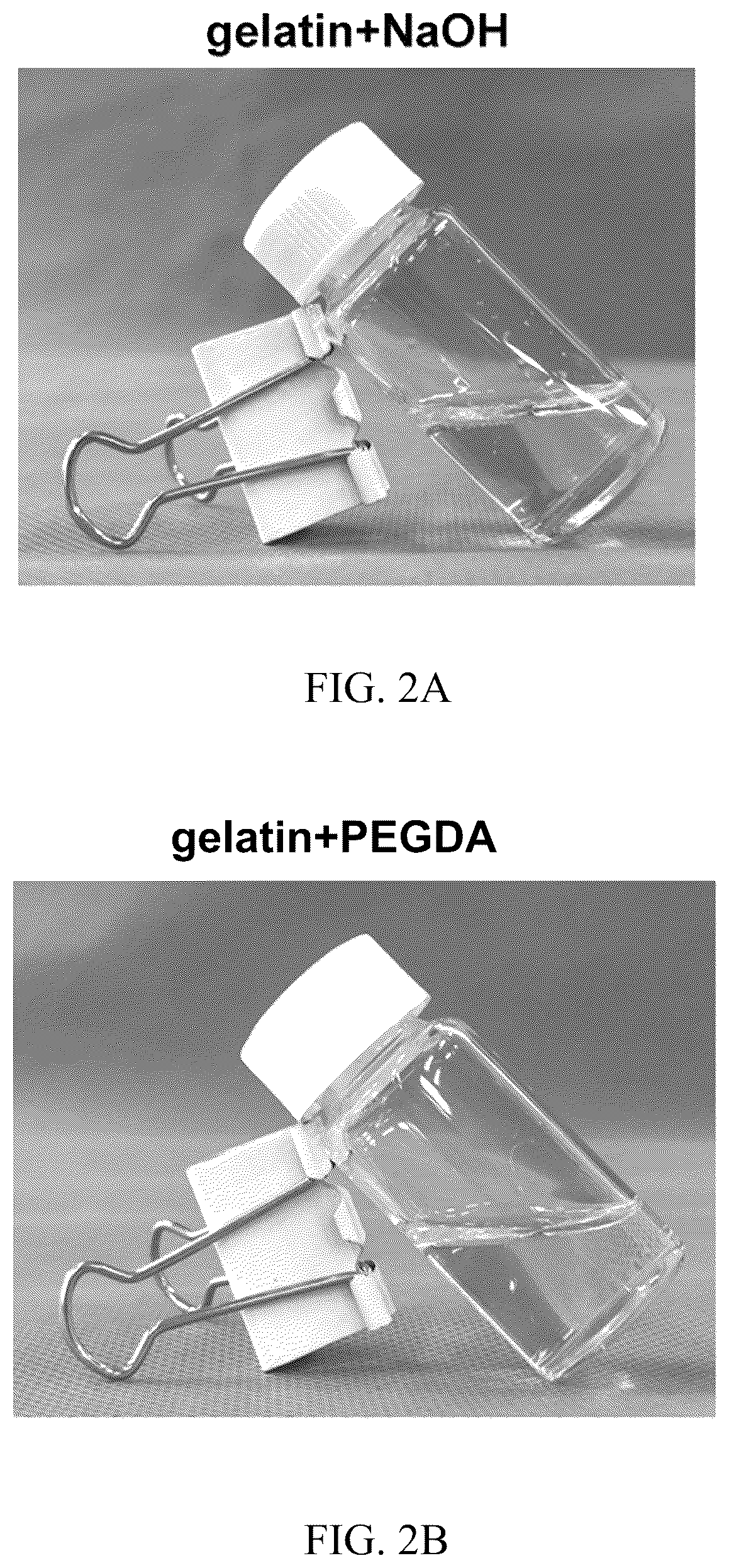 Patent US12324798 Figure 2 – Leonurine nanocomposite hydrogel and preparation methods and applications thereof