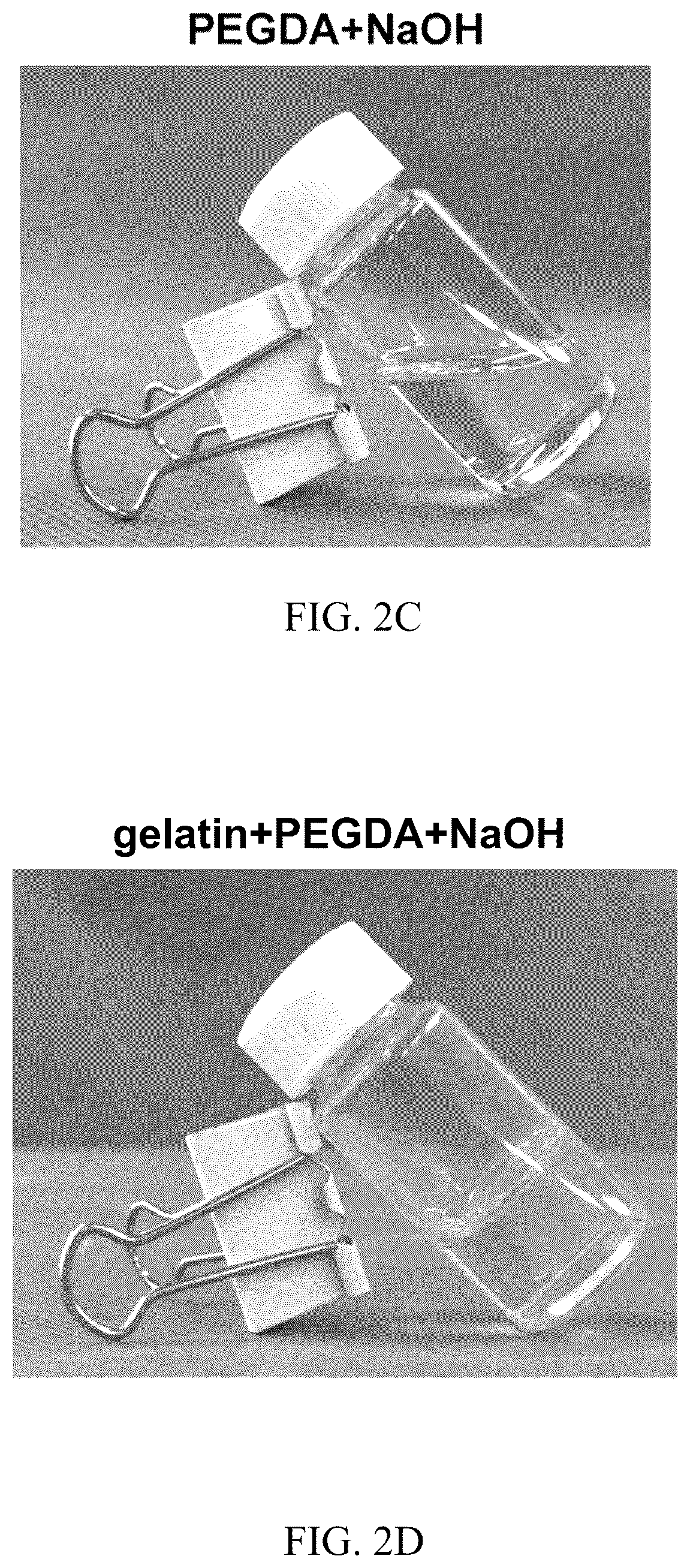 Patent US12324798 Figure 3 – Leonurine nanocomposite hydrogel and preparation methods and applications thereof